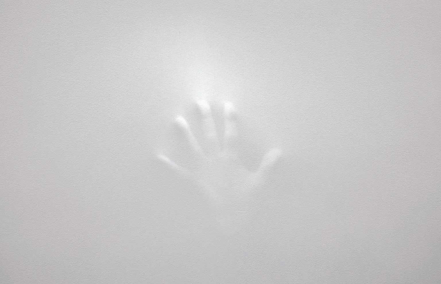 Wall