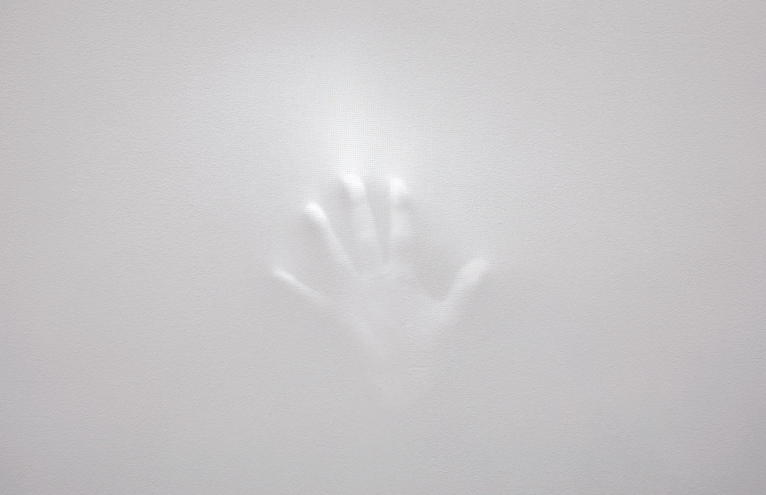 Wall