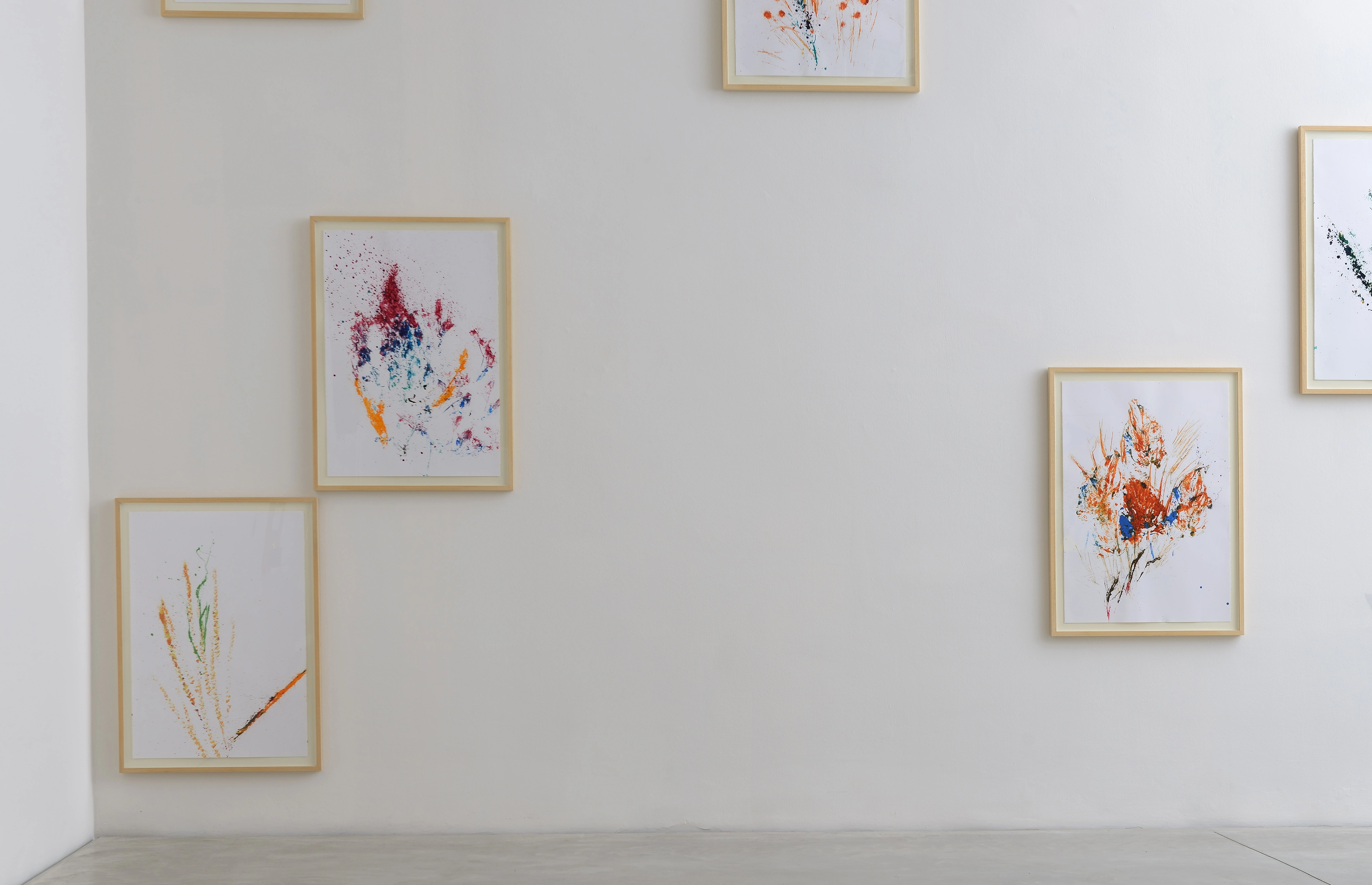 Beyond the Painting / Unrejected Wild Flora