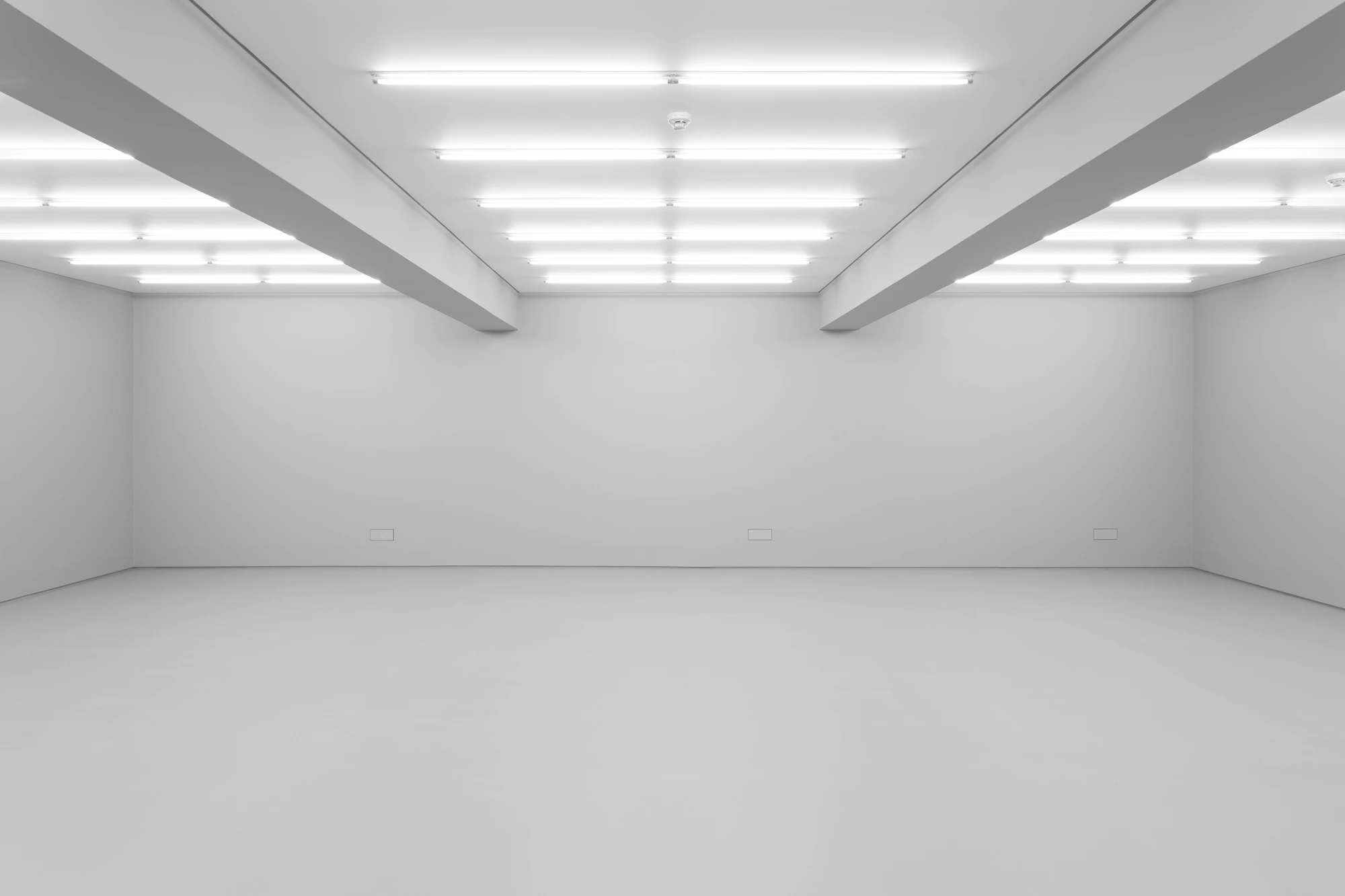 GALERIA VERA CORTÊS