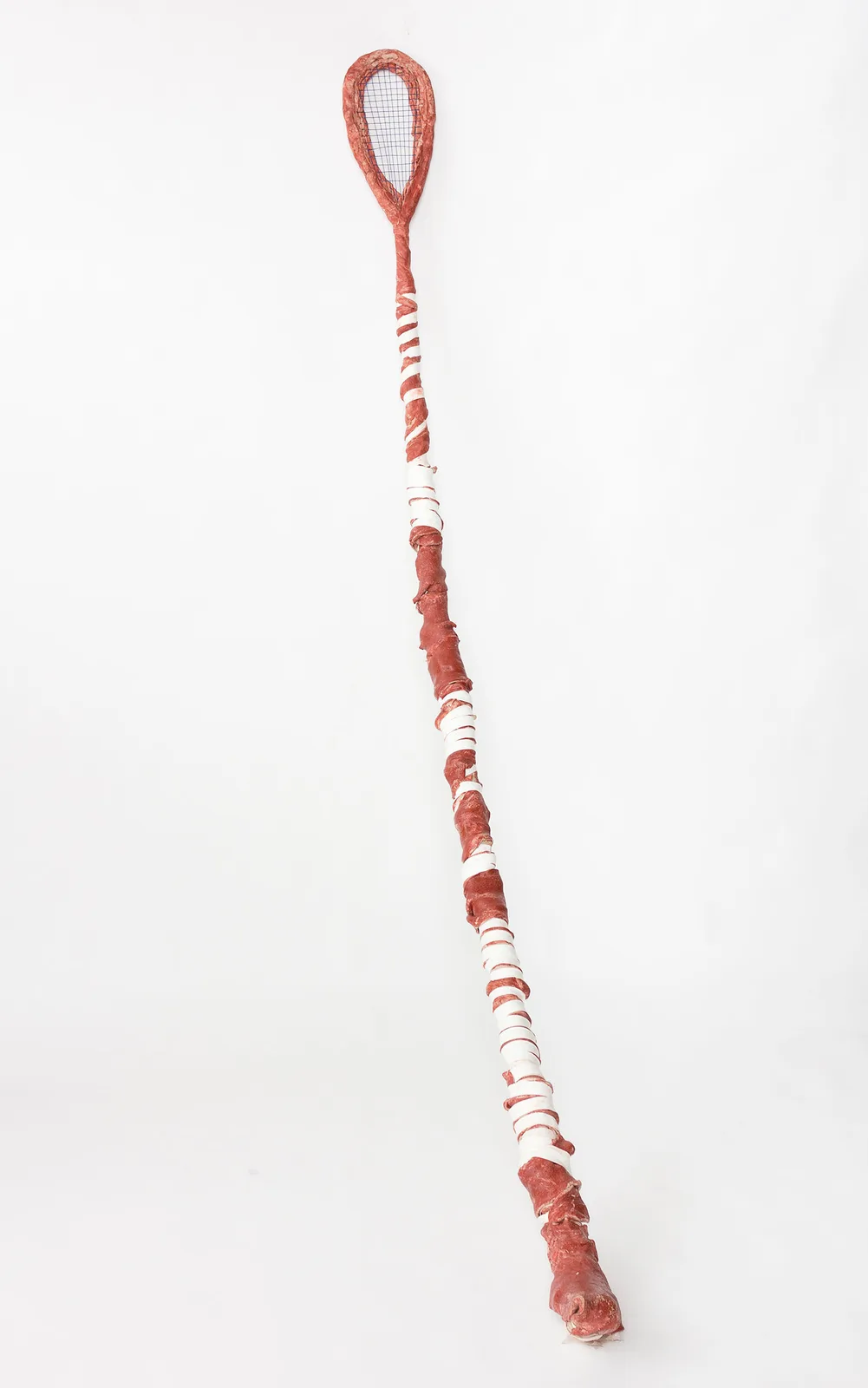 Raqueta
