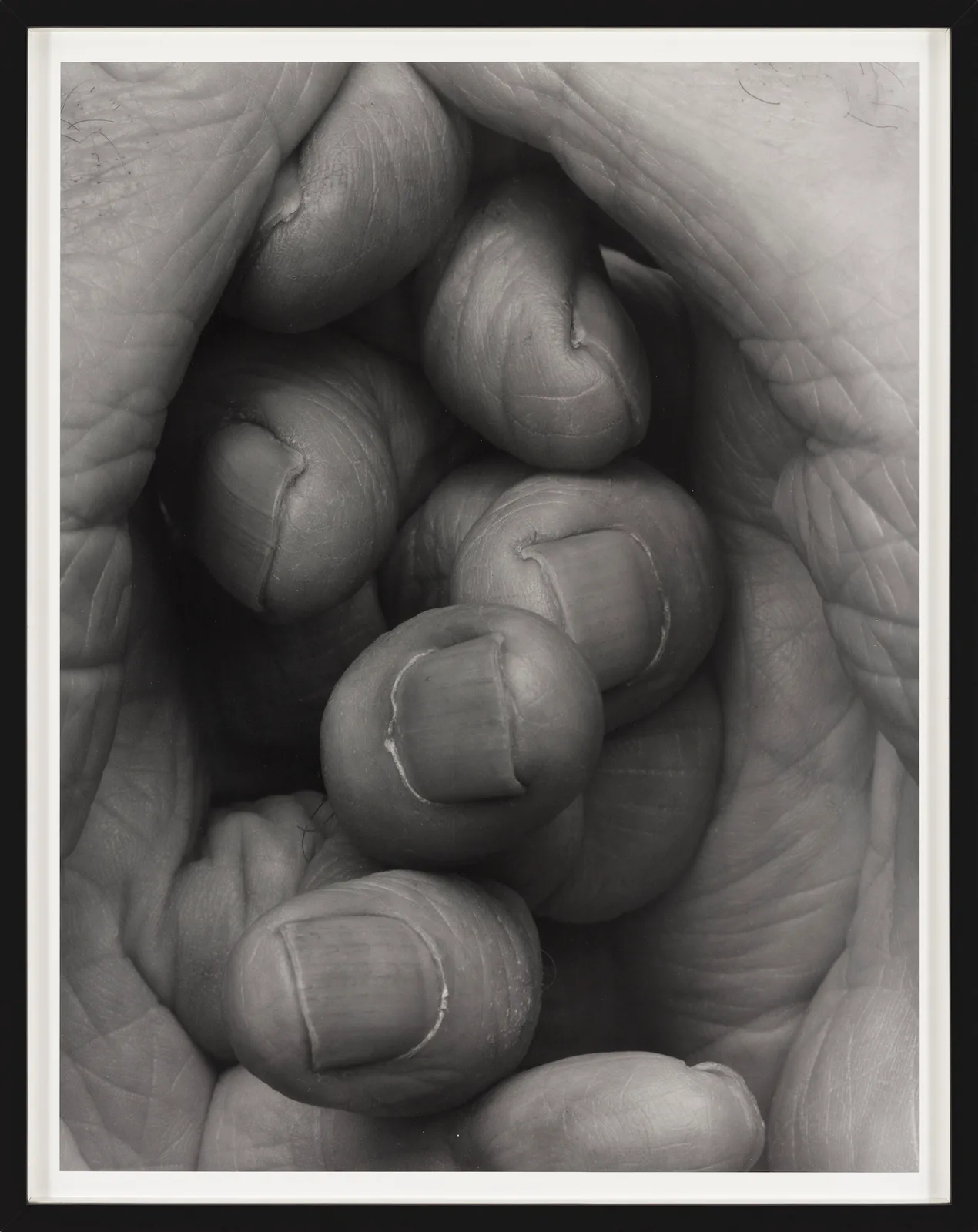 Interlocking Fingers, No 16