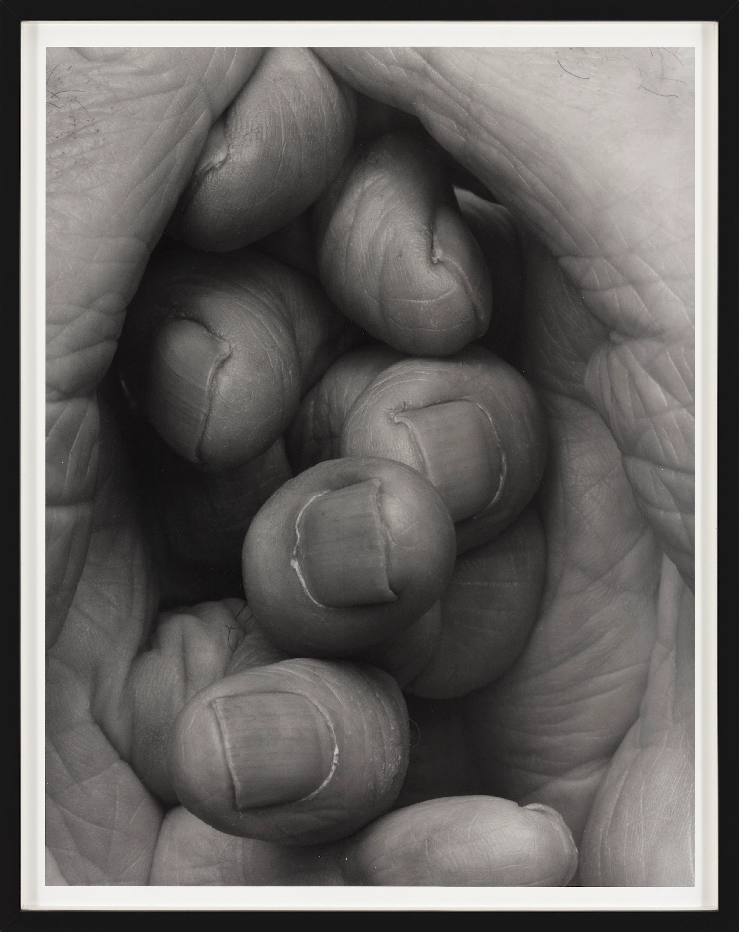 Interlocking Fingers, No 16