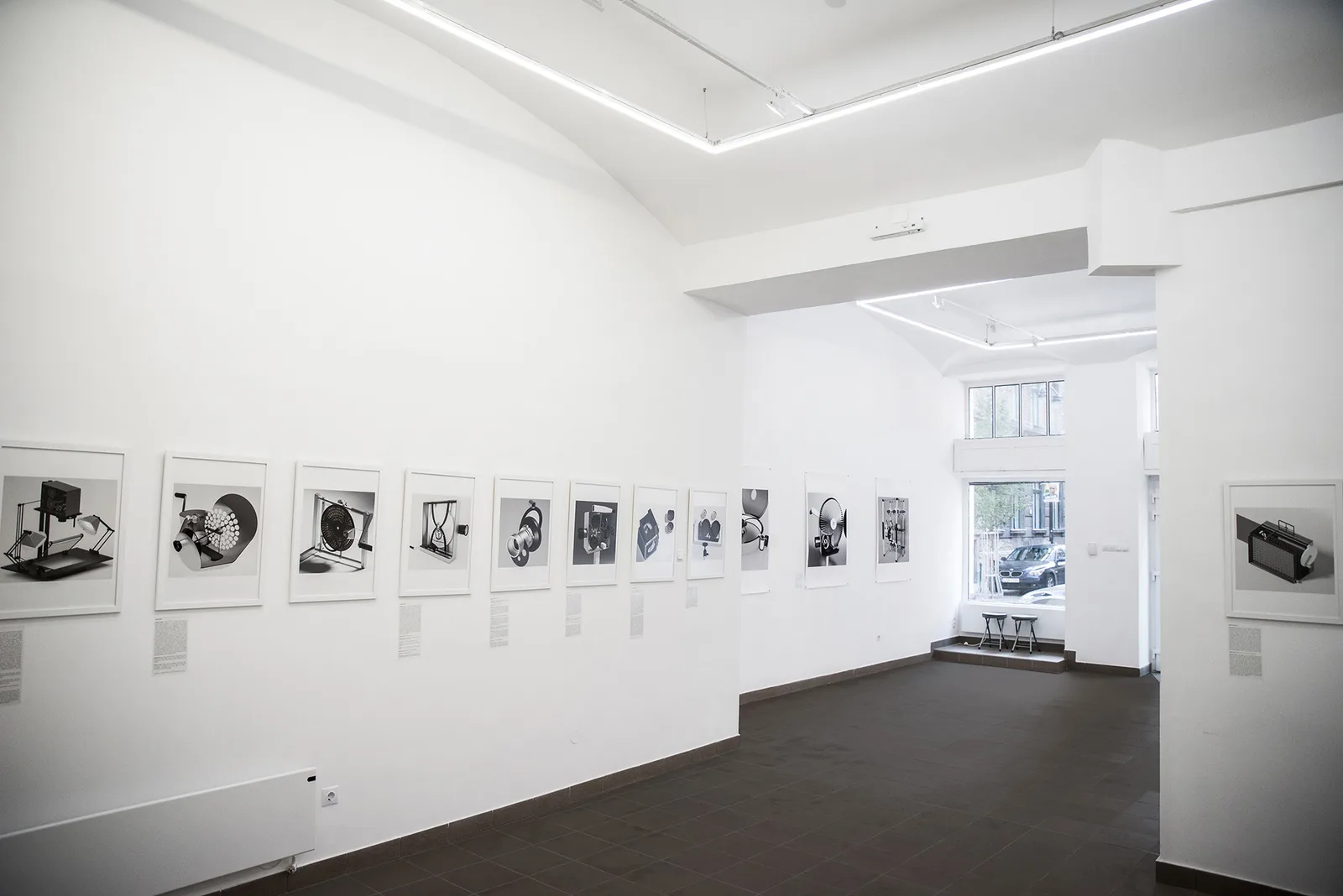 Ani Molnár Gallery