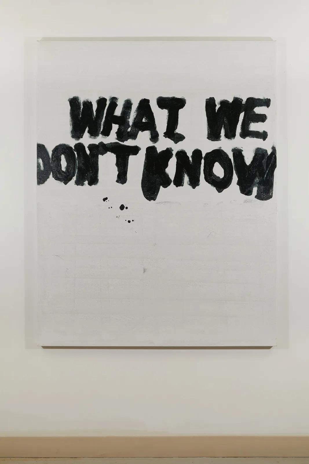 What We Don't Know