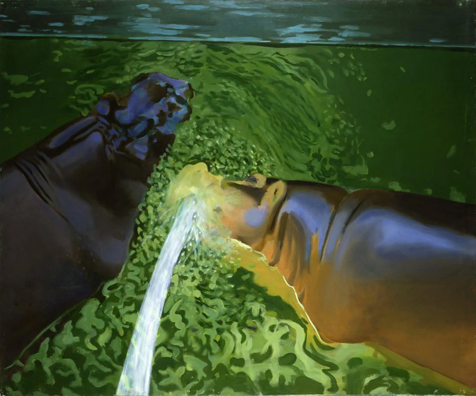 Deux hippopotames dans l'eau