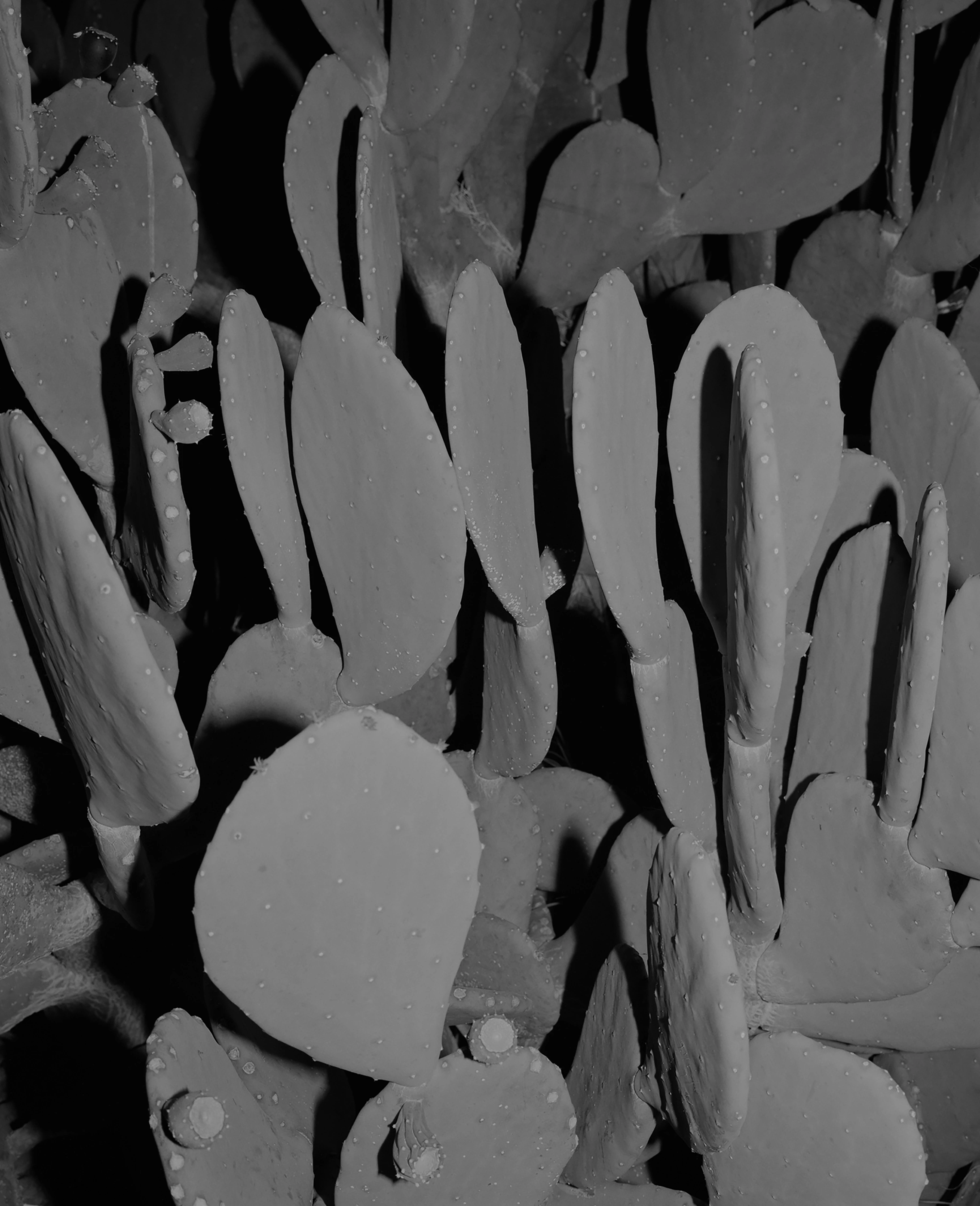 Untitled (Most Were Silent)