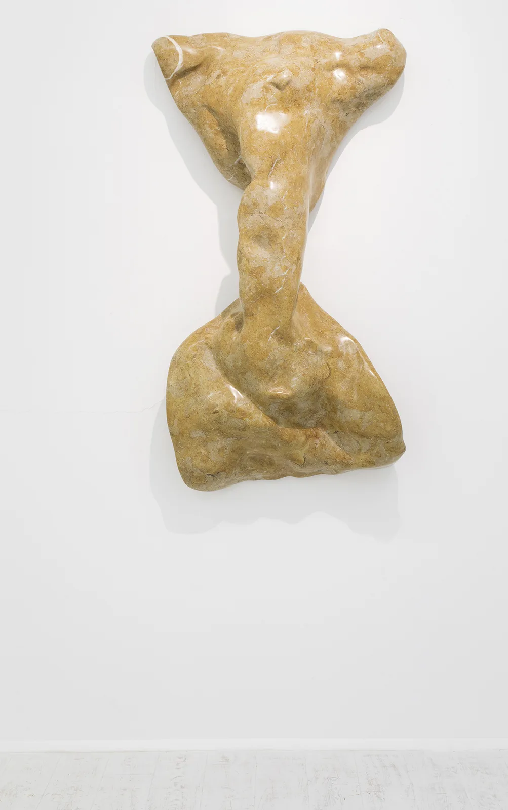 Torso