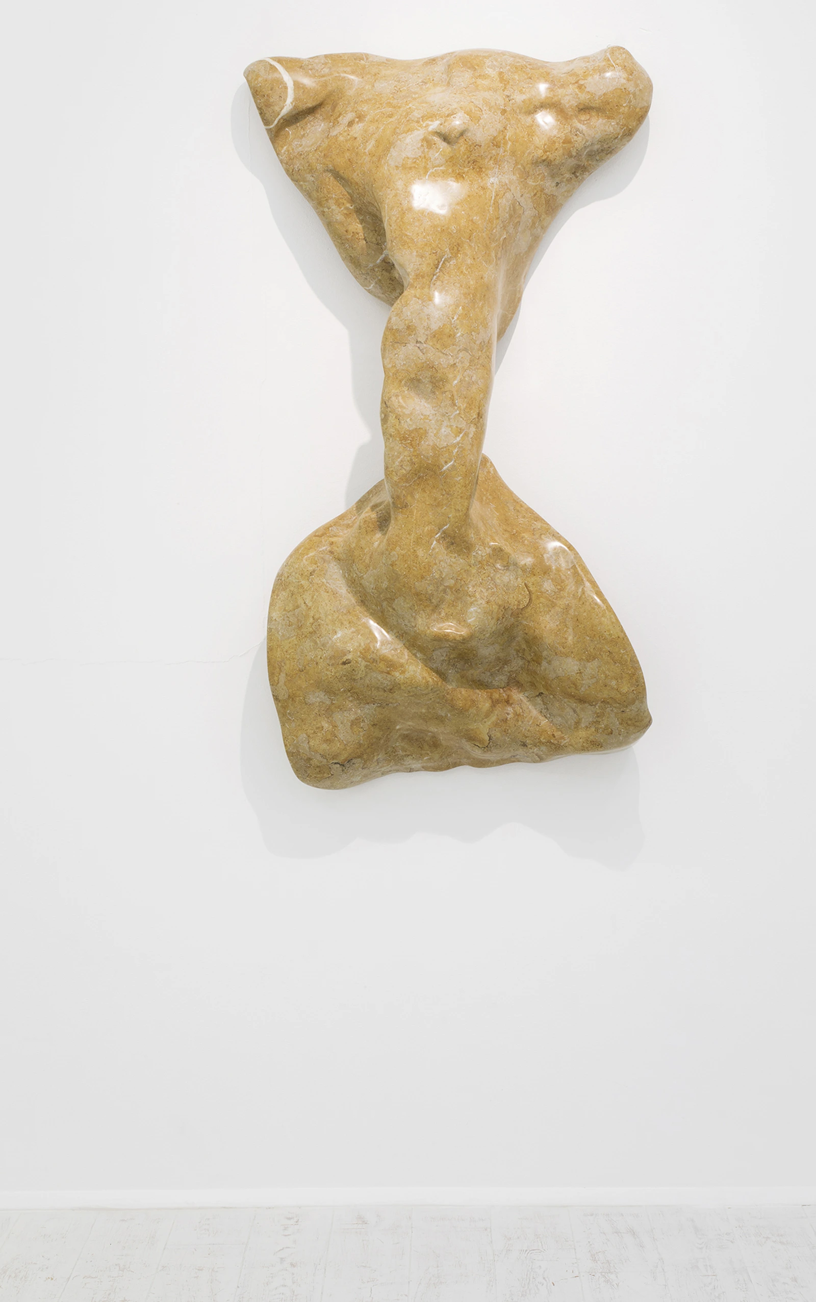 Torso