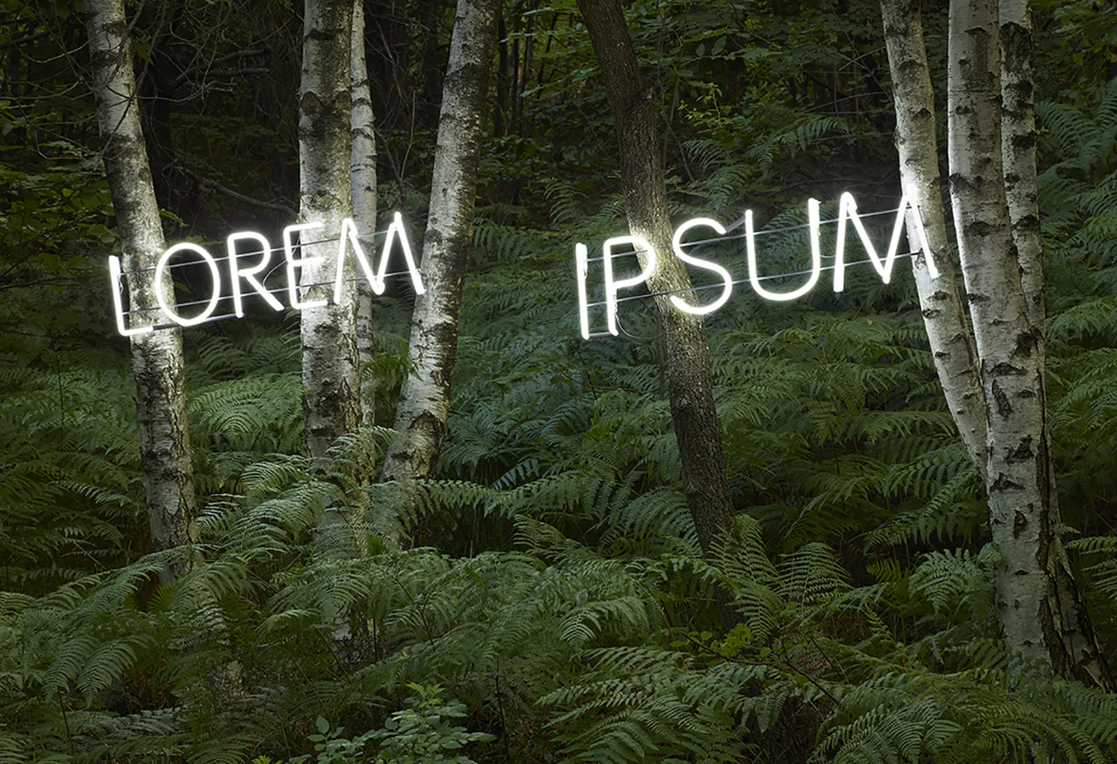 Lorem Ipsum