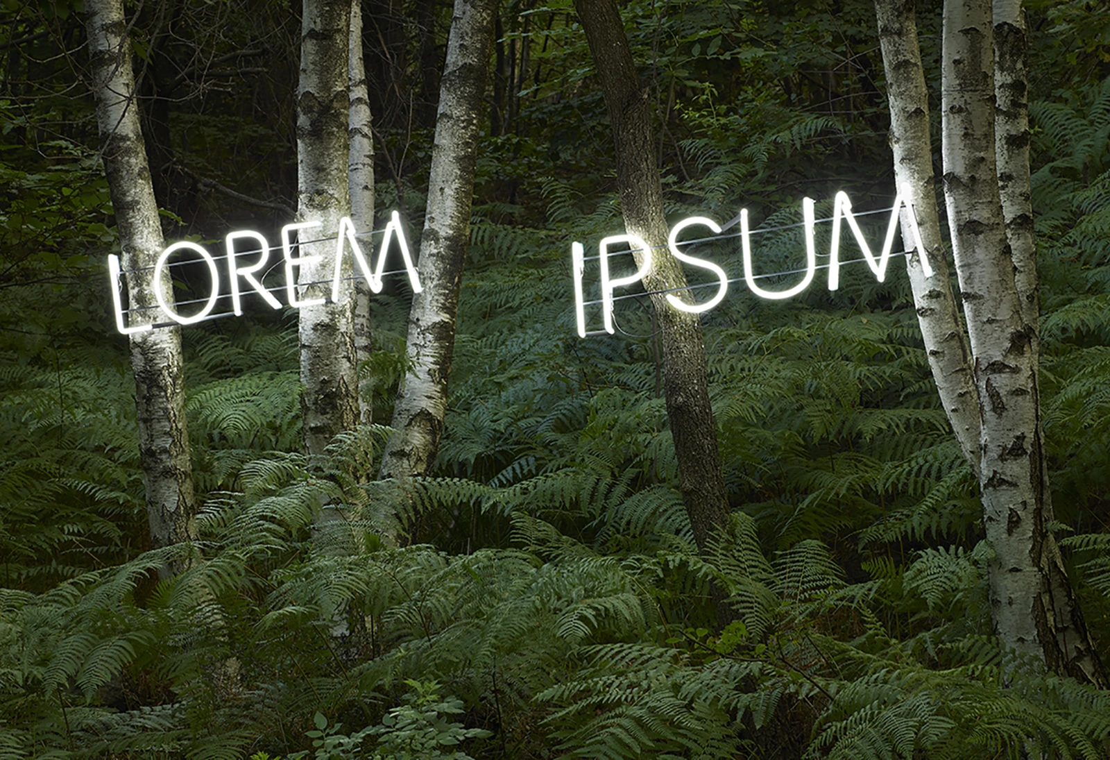 Lorem Ipsum