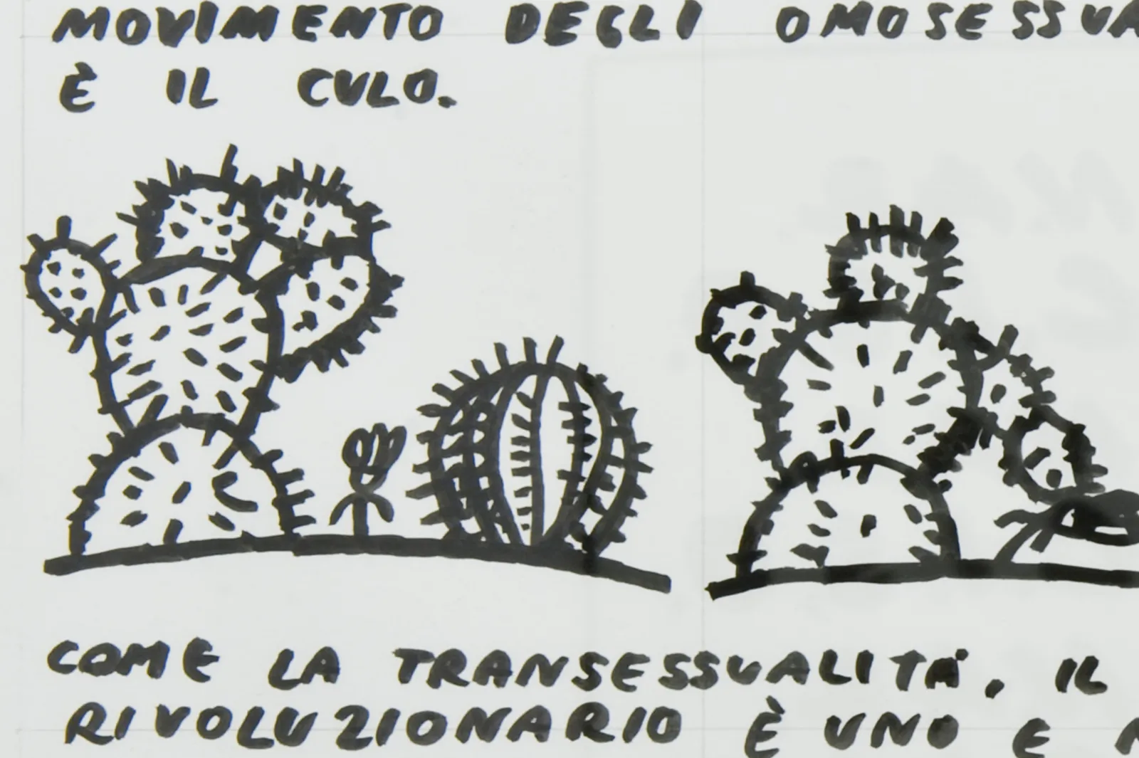 FIORI! (Cosa) (DETAIL)