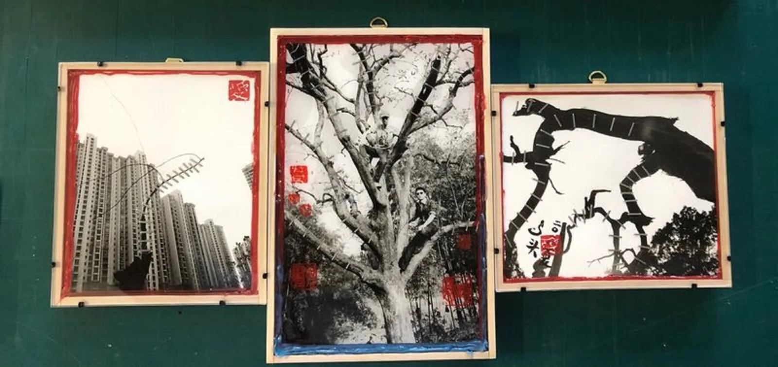 Crazay Bird 2018 - 09