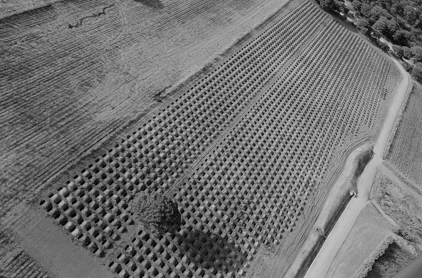 3000 holes of 180 x 50 x 50 cm each