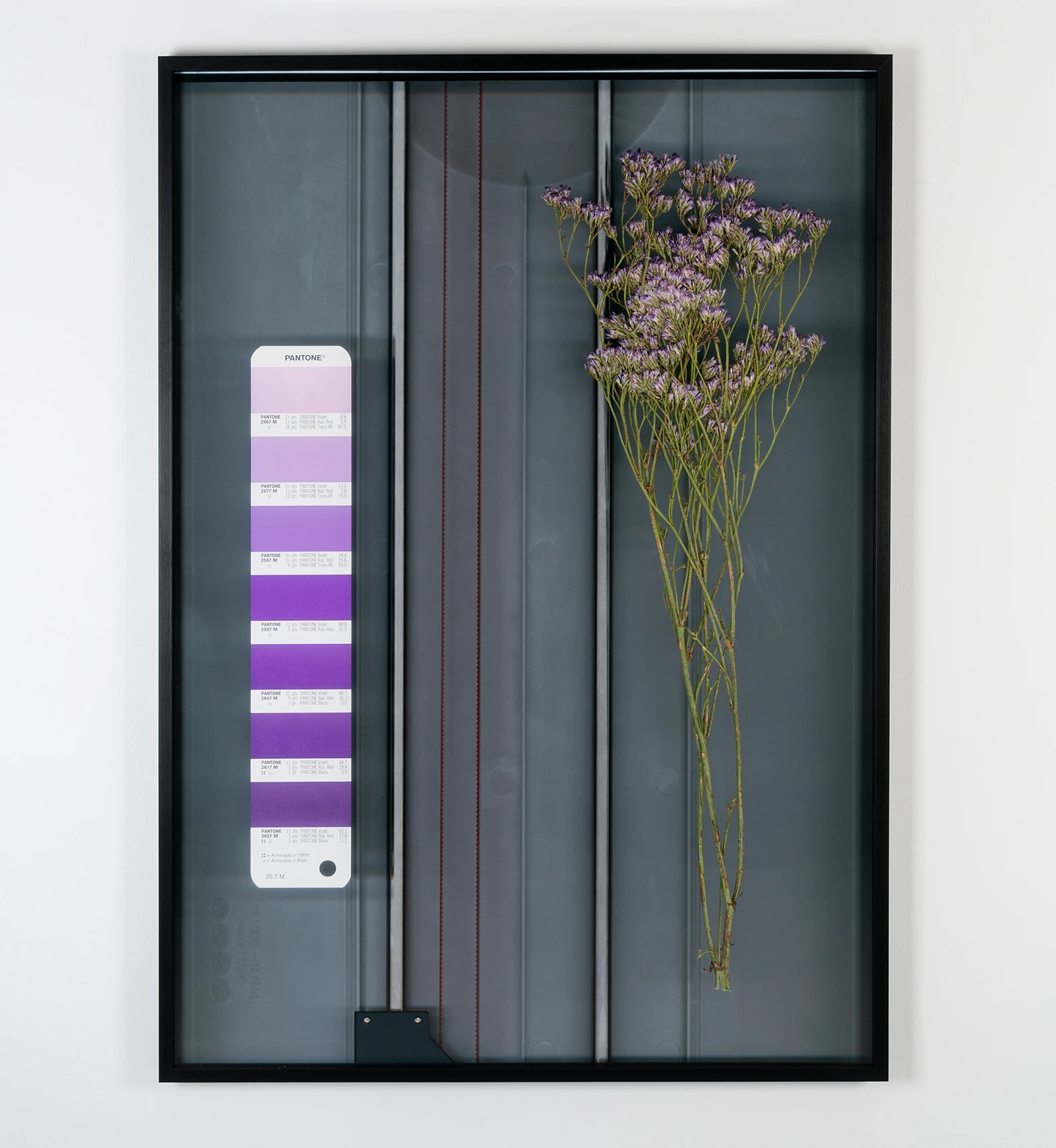 Pantone 25.7 M