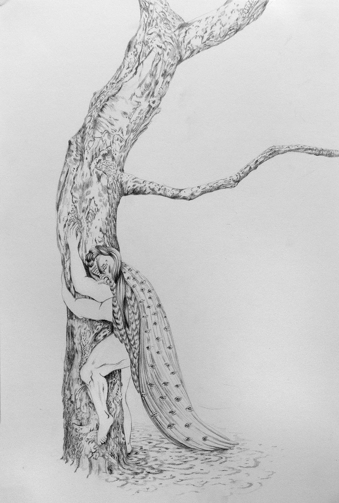 Arbol