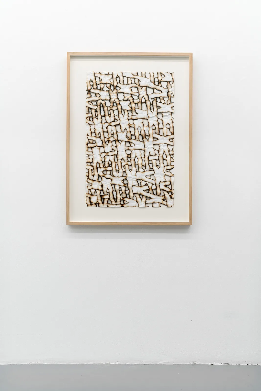Untitled (Burnt Paper)