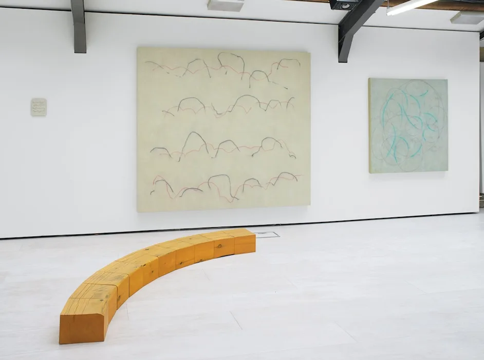 Cecilia Brunson Projects