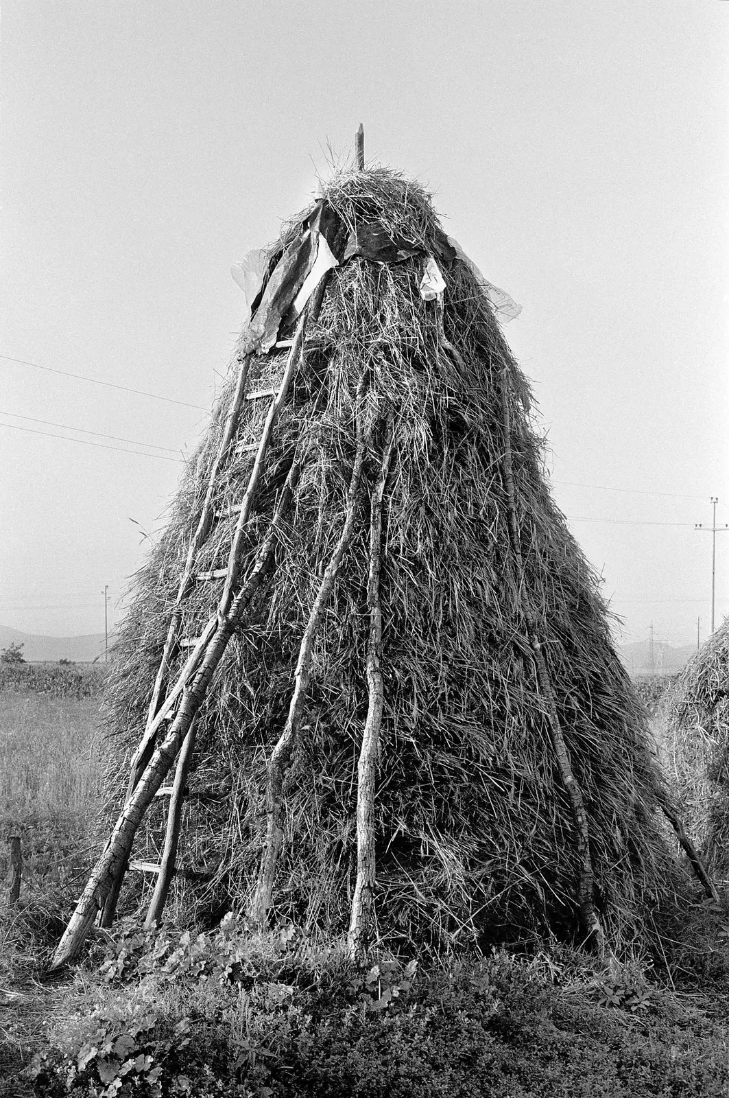 Mitrovica, Kosova 16 July 1989, from the series Haystacks