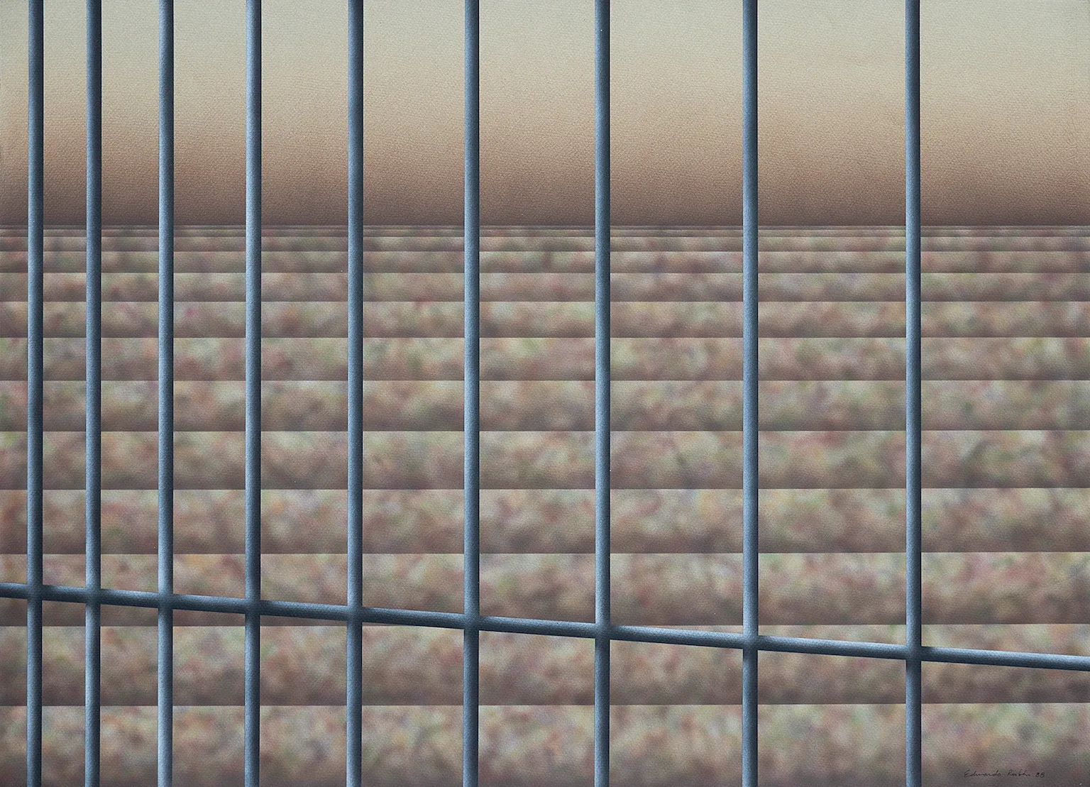 Untitled #1 (Rejas series)