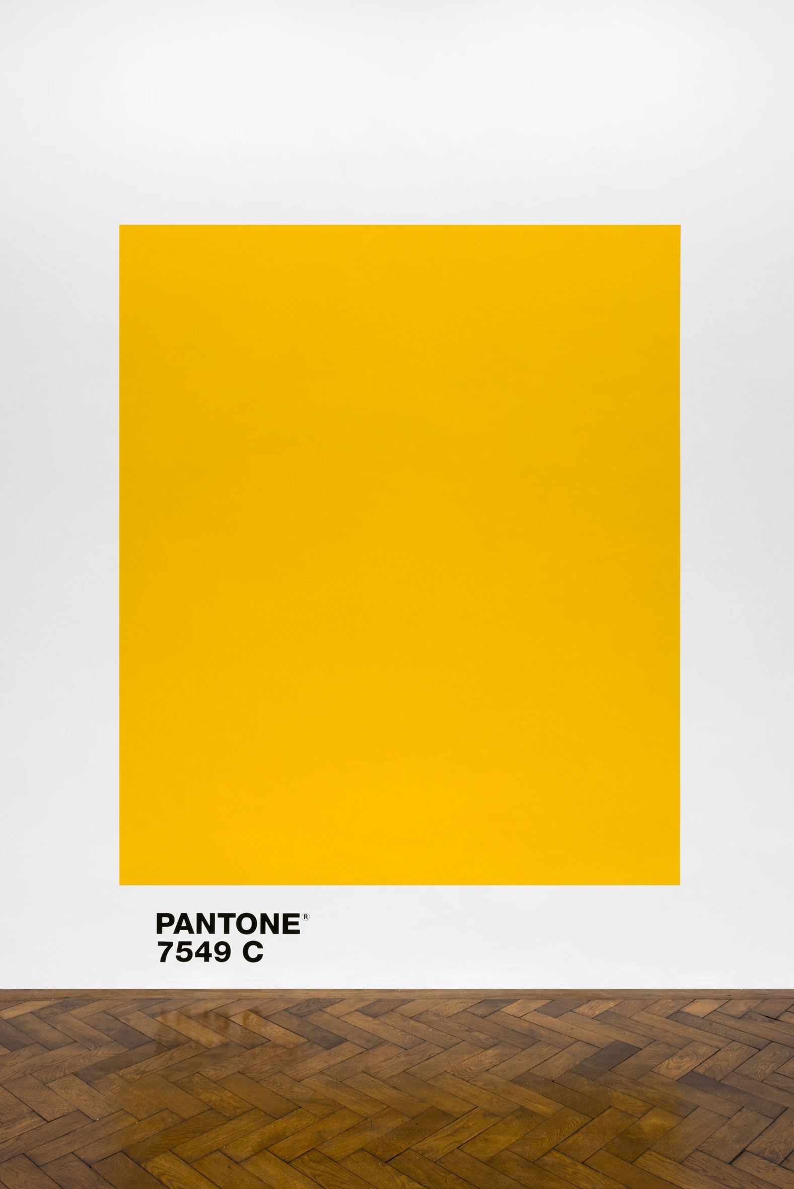 Untitled (Pantone 18-2120)