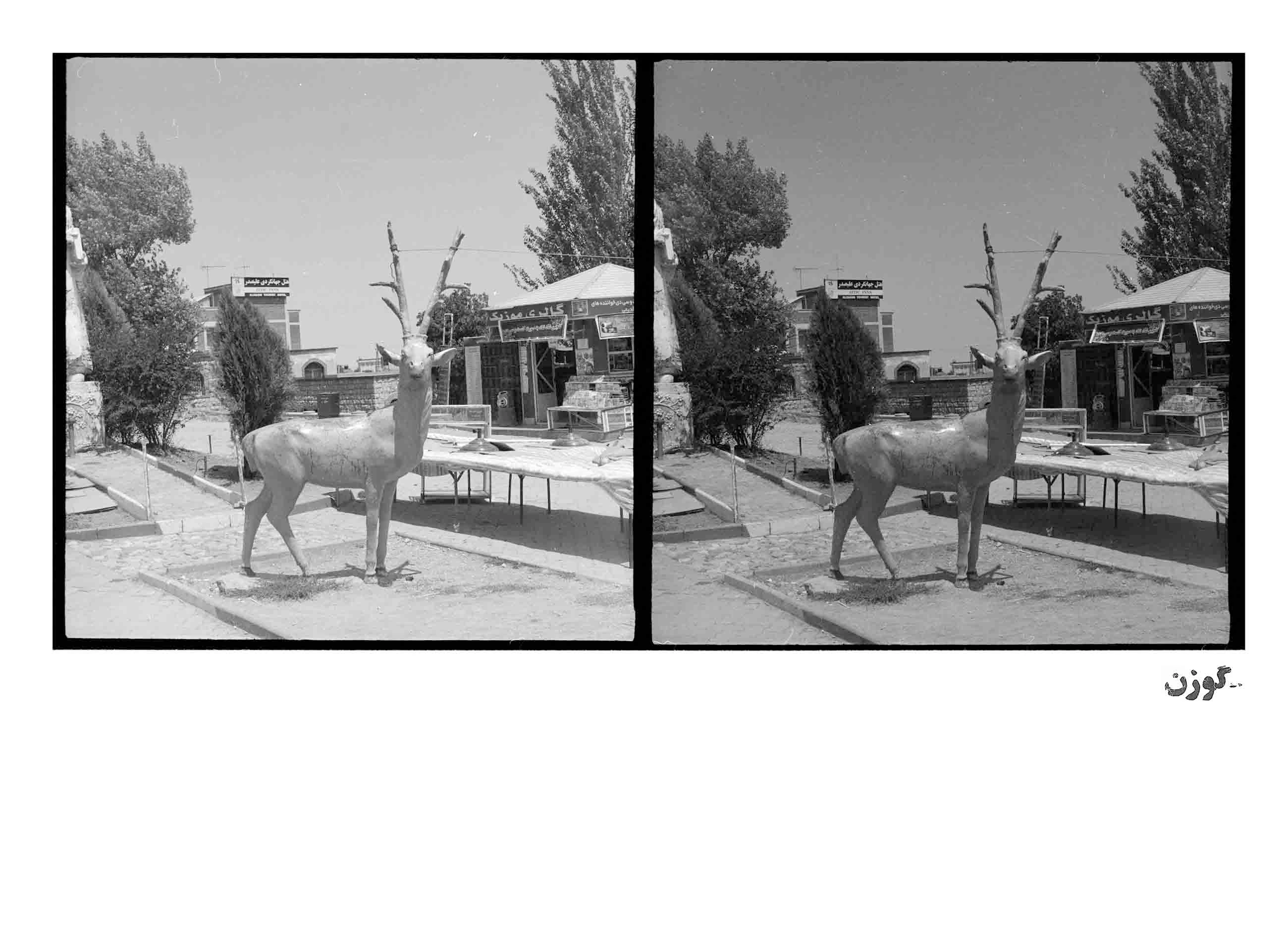 Deer form “Bad and Worse - Introductory” series