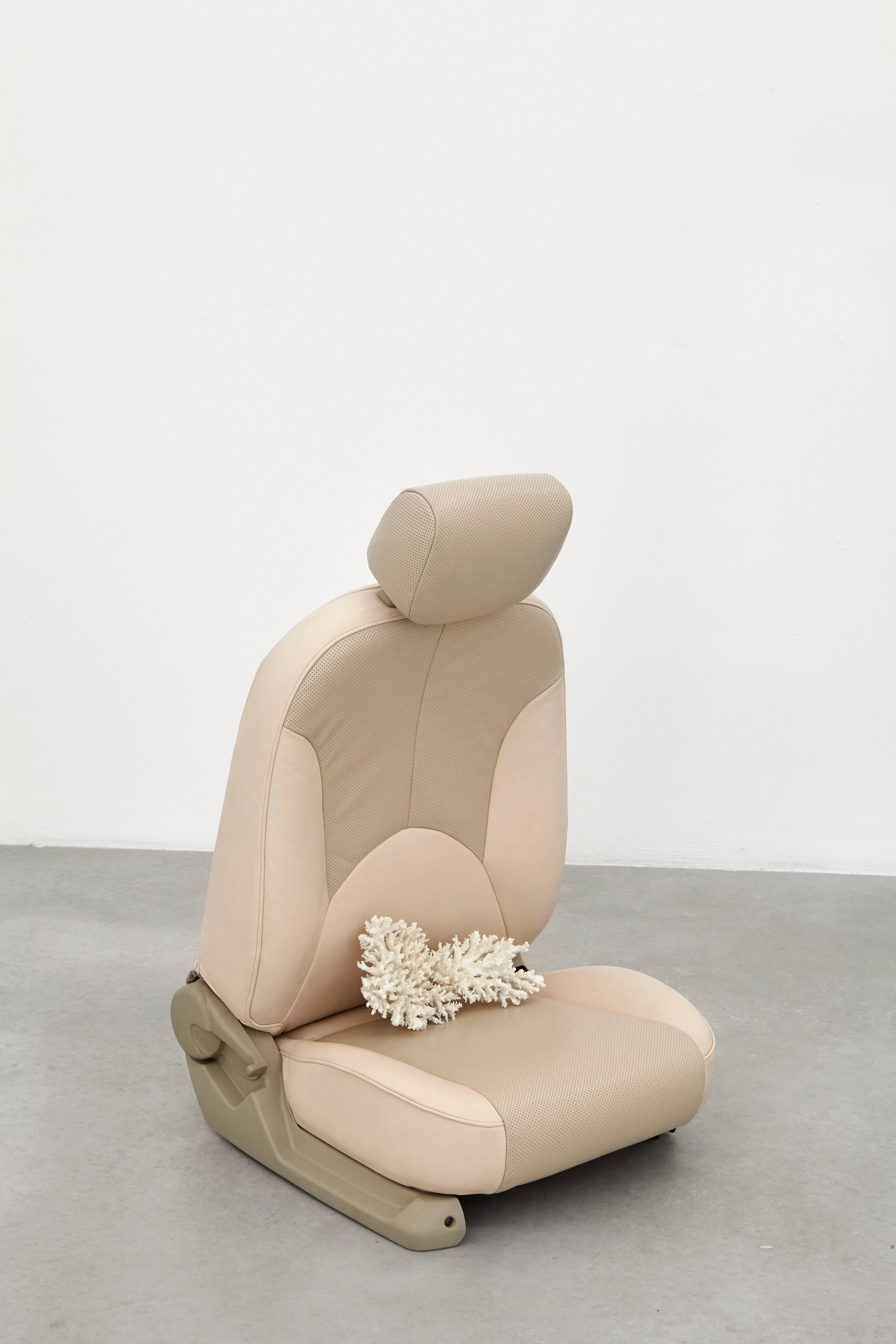 Crash Test Dummy (passenger)