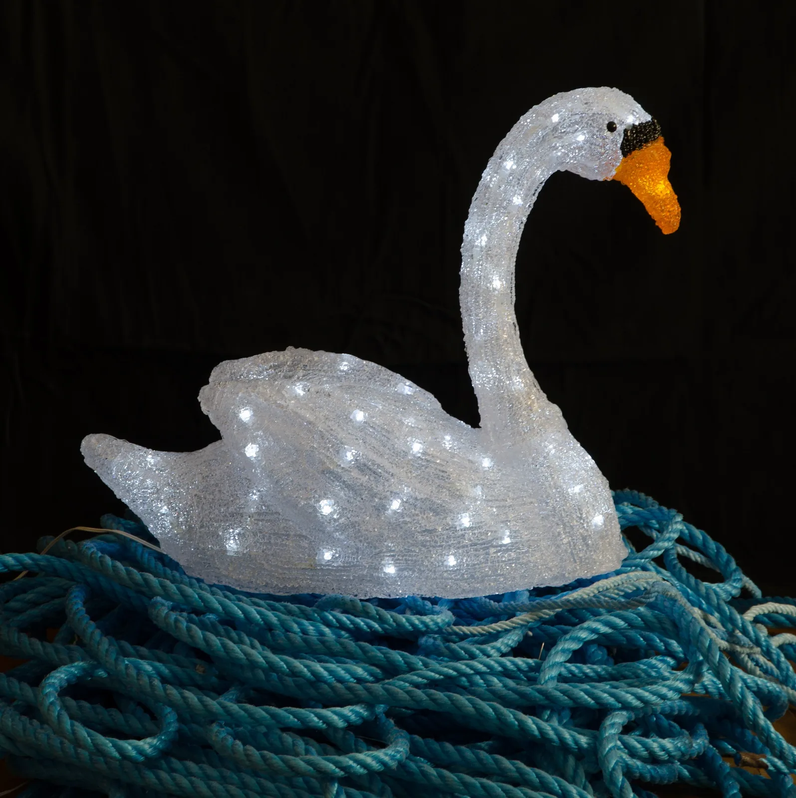 Swan Song