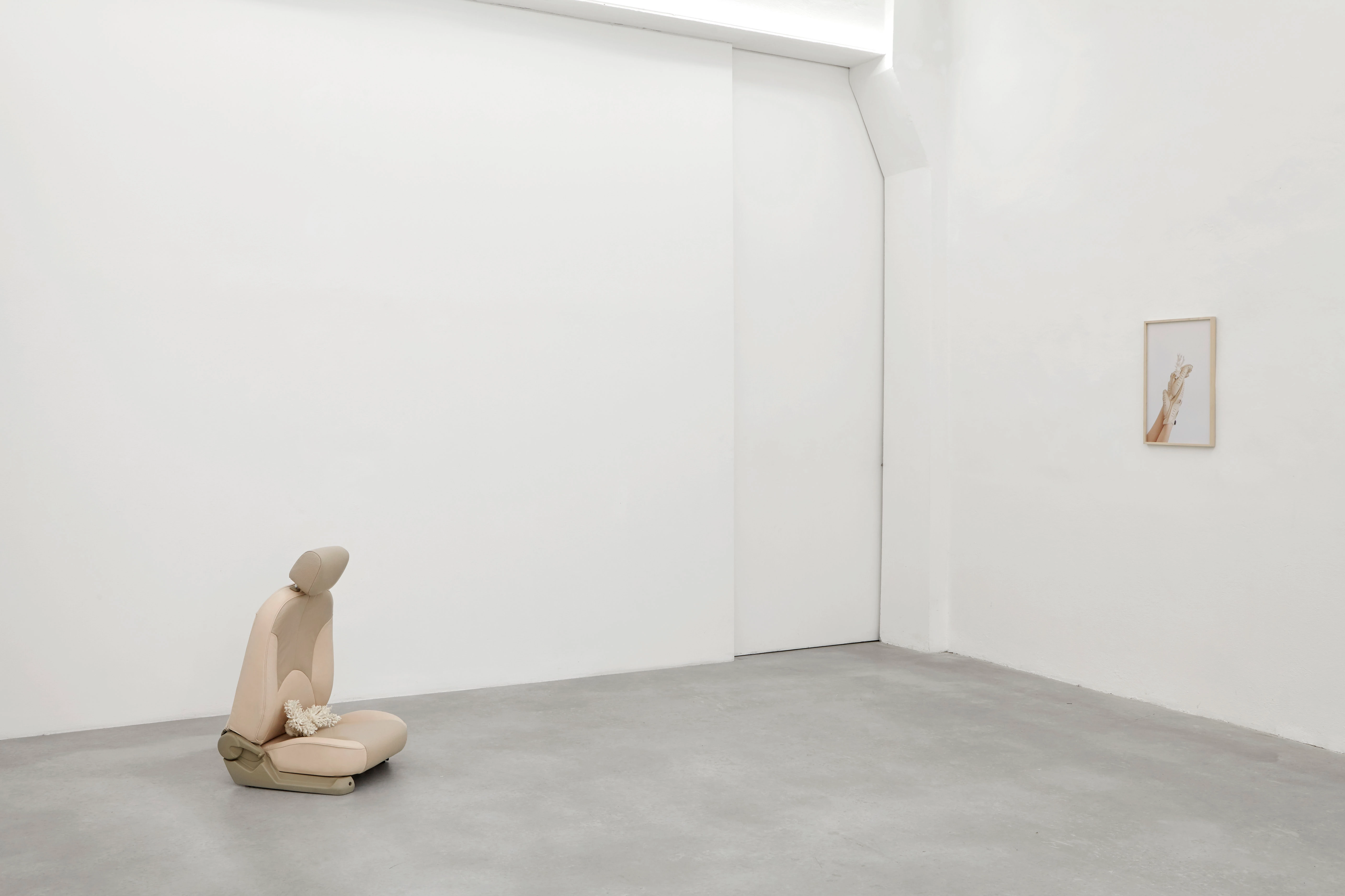 Crash Test Dummy (passenger)
