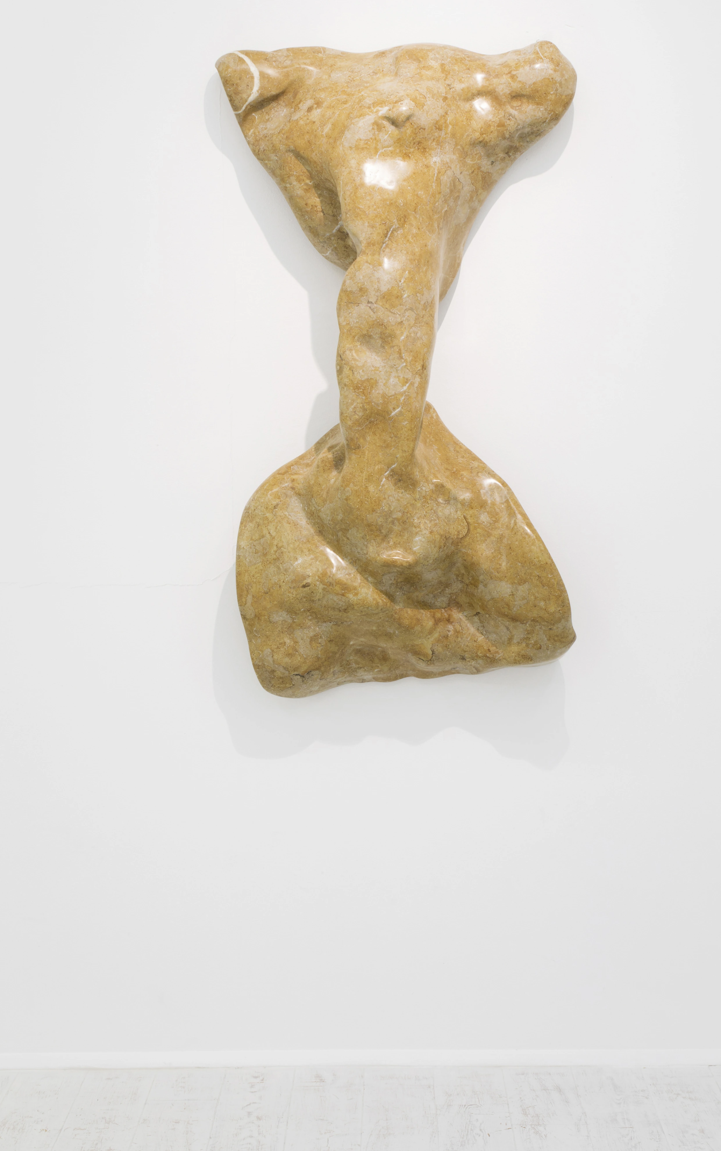Torso