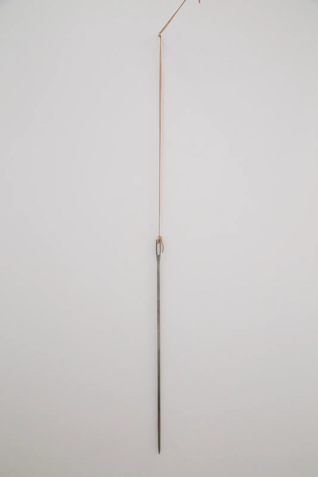 Untitled (Evolutionary tools)