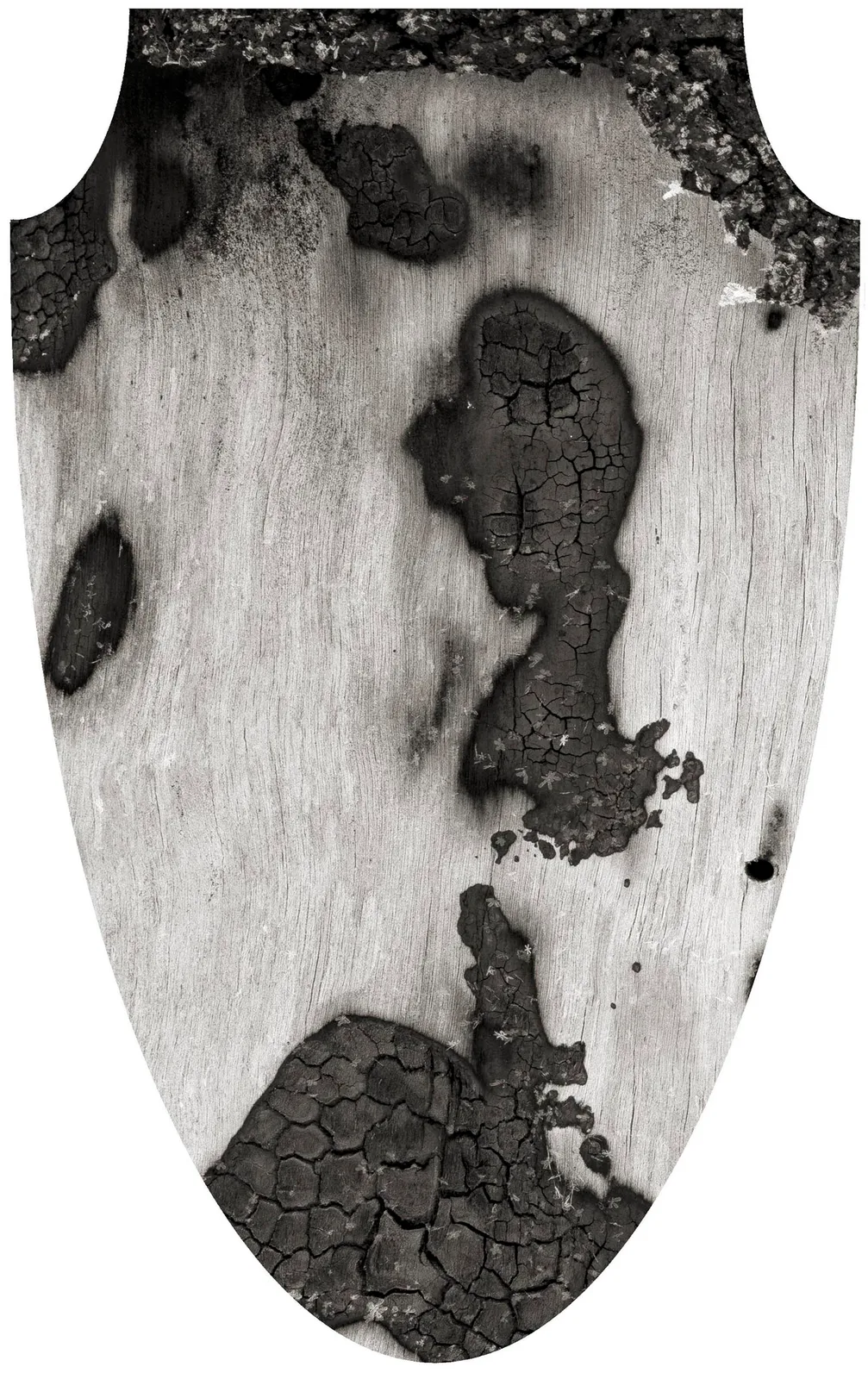 Mirroring Nature 17