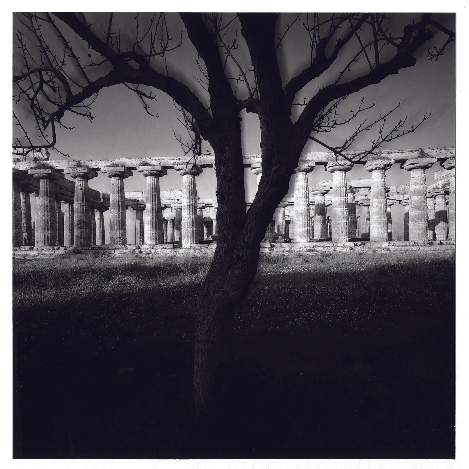 Tempio di Nettuno