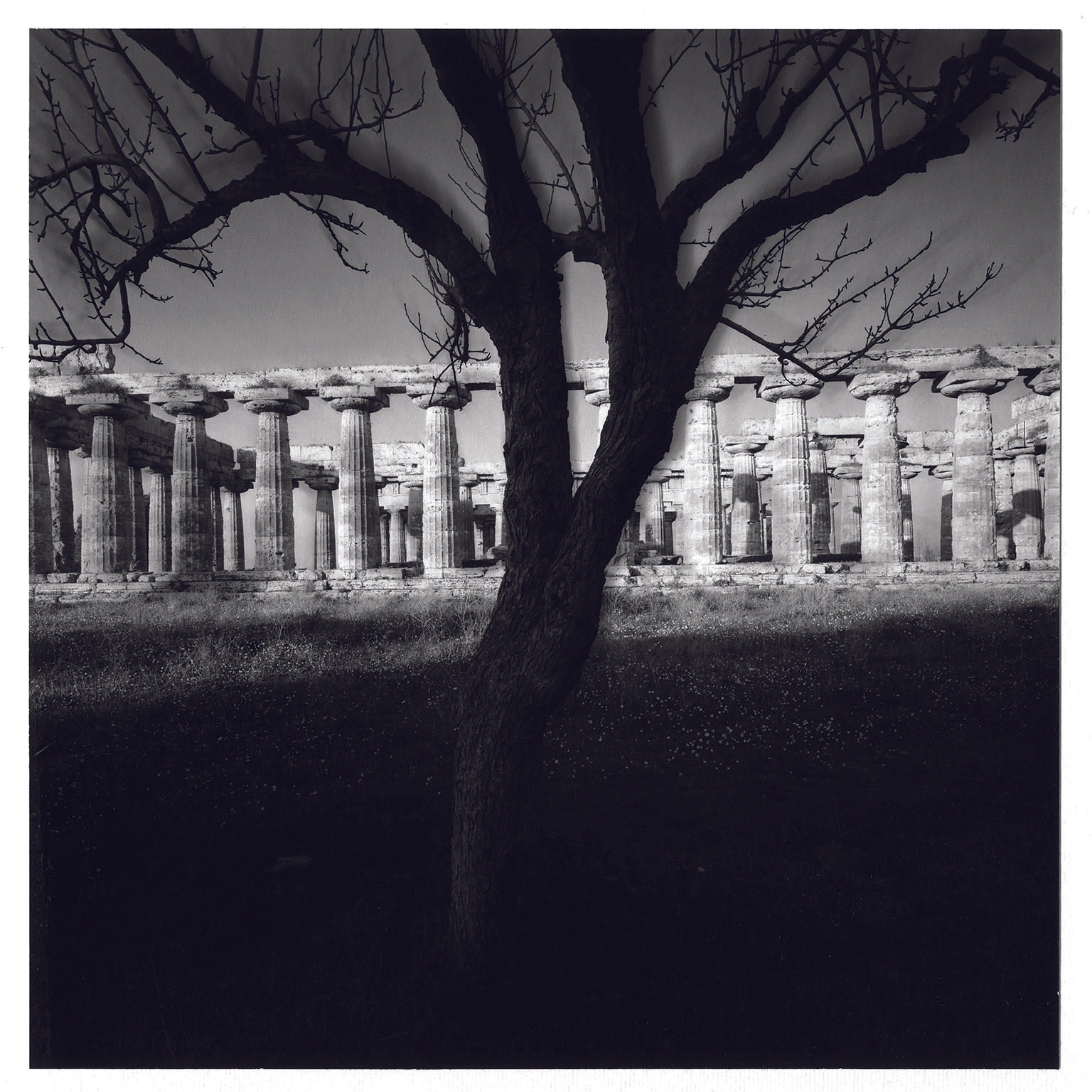 Tempio di Nettuno