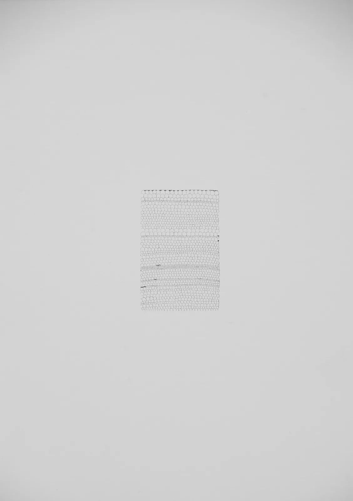 Forming Spaces VIII