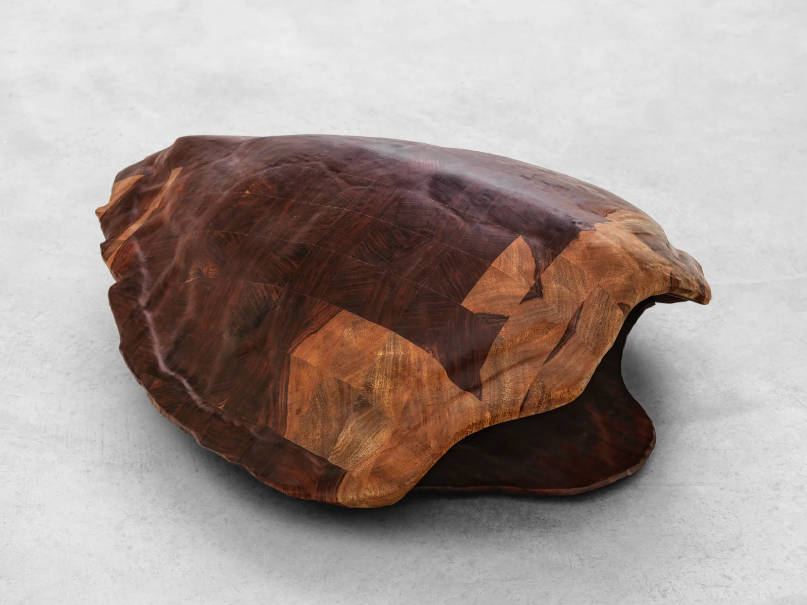 Tartaruga
