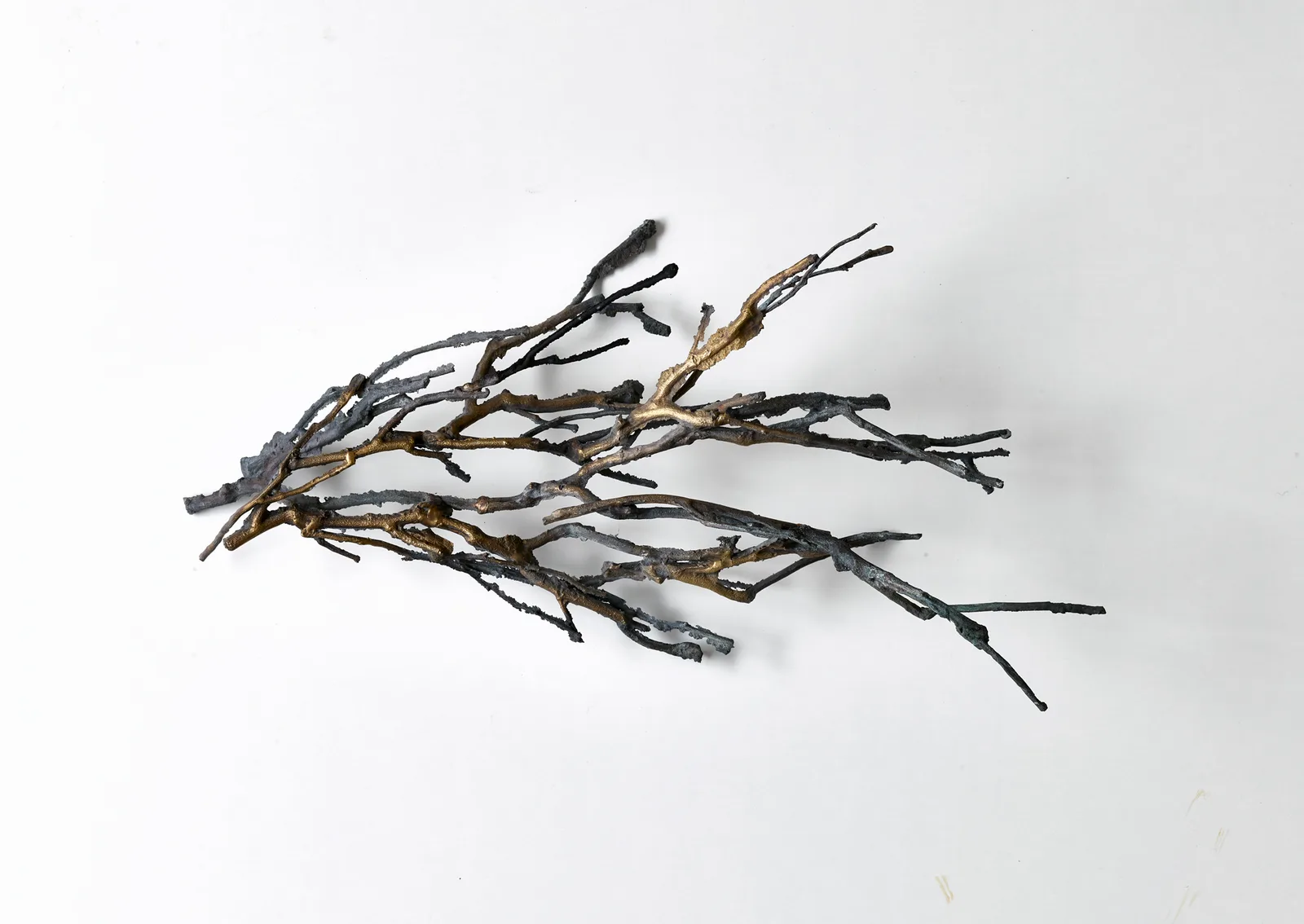 Branch