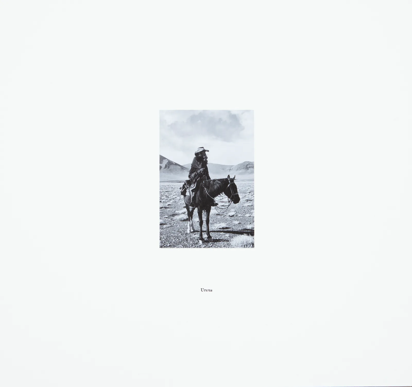 Centaurs Series-Ureus