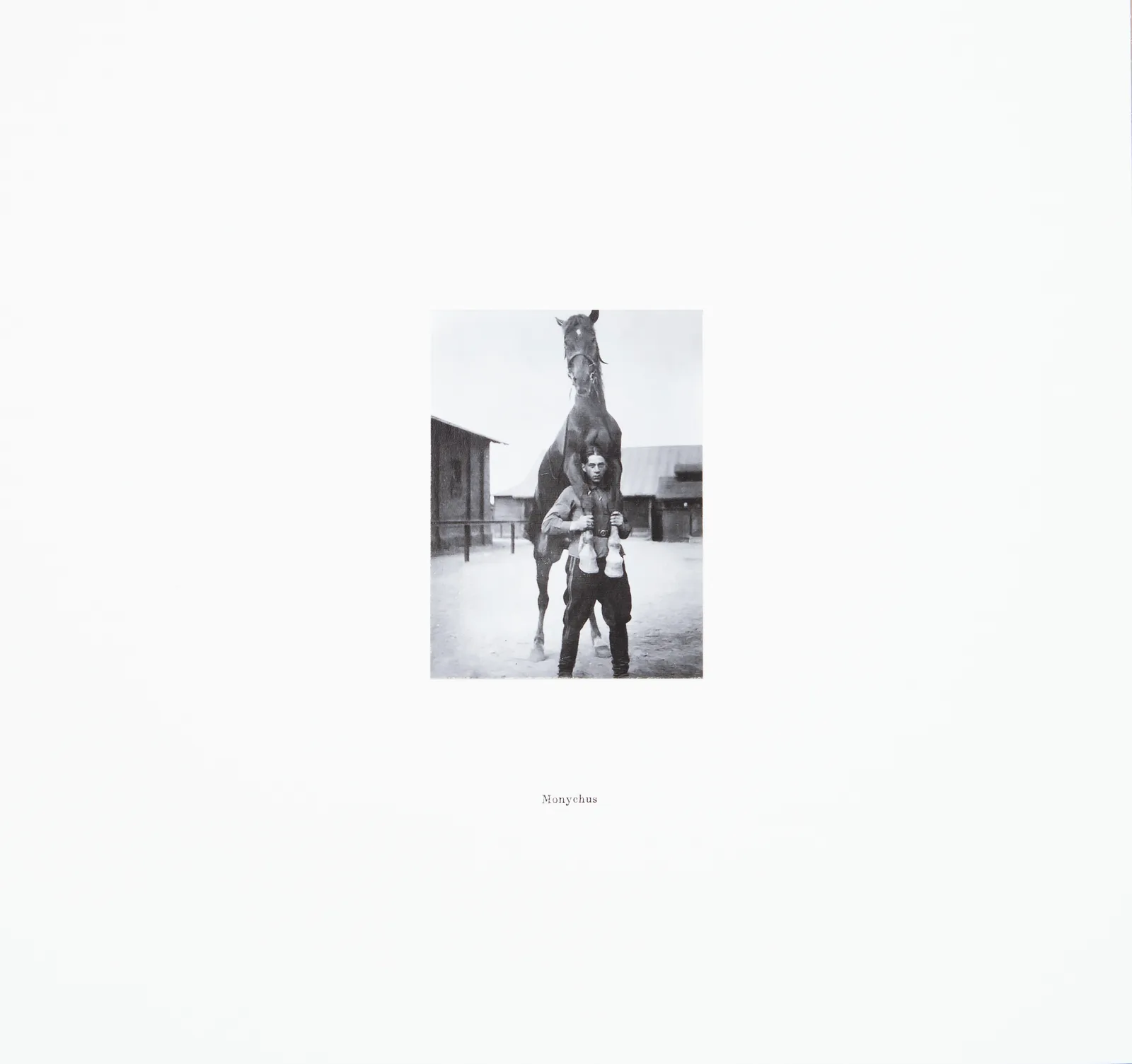 Centaurs Series-Monychus