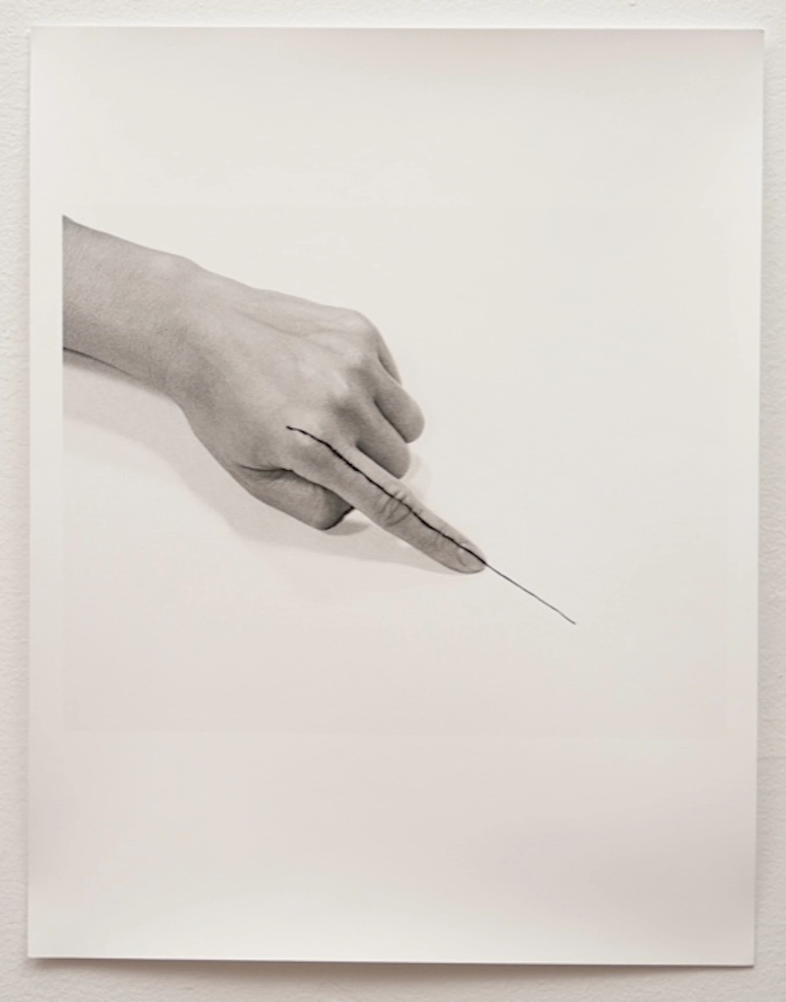 Untitled (Line)