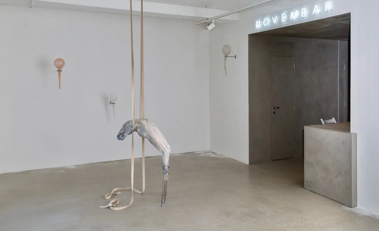 Gallery Novembar