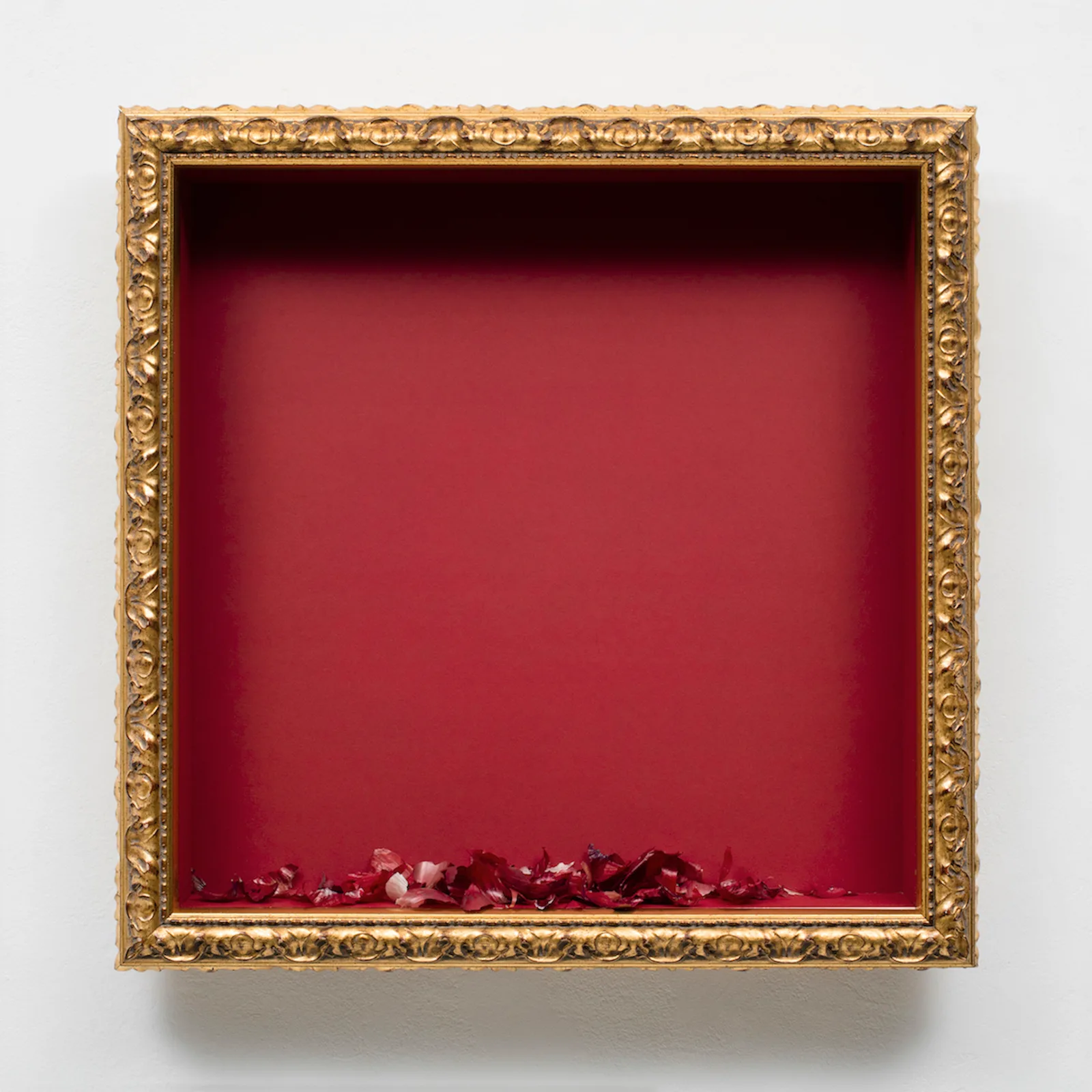Due cipolle rosse
