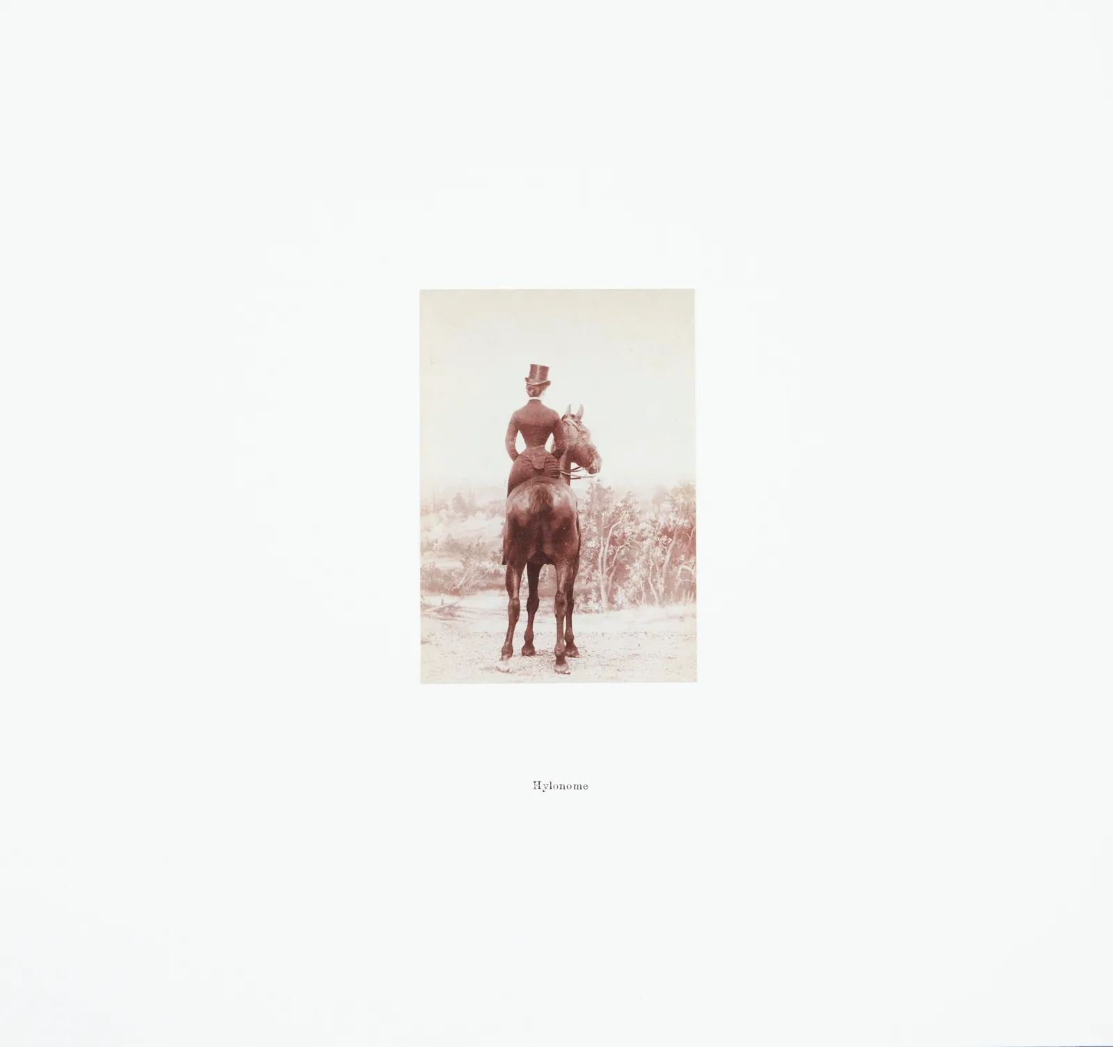 Centaurs Series-Hylonome