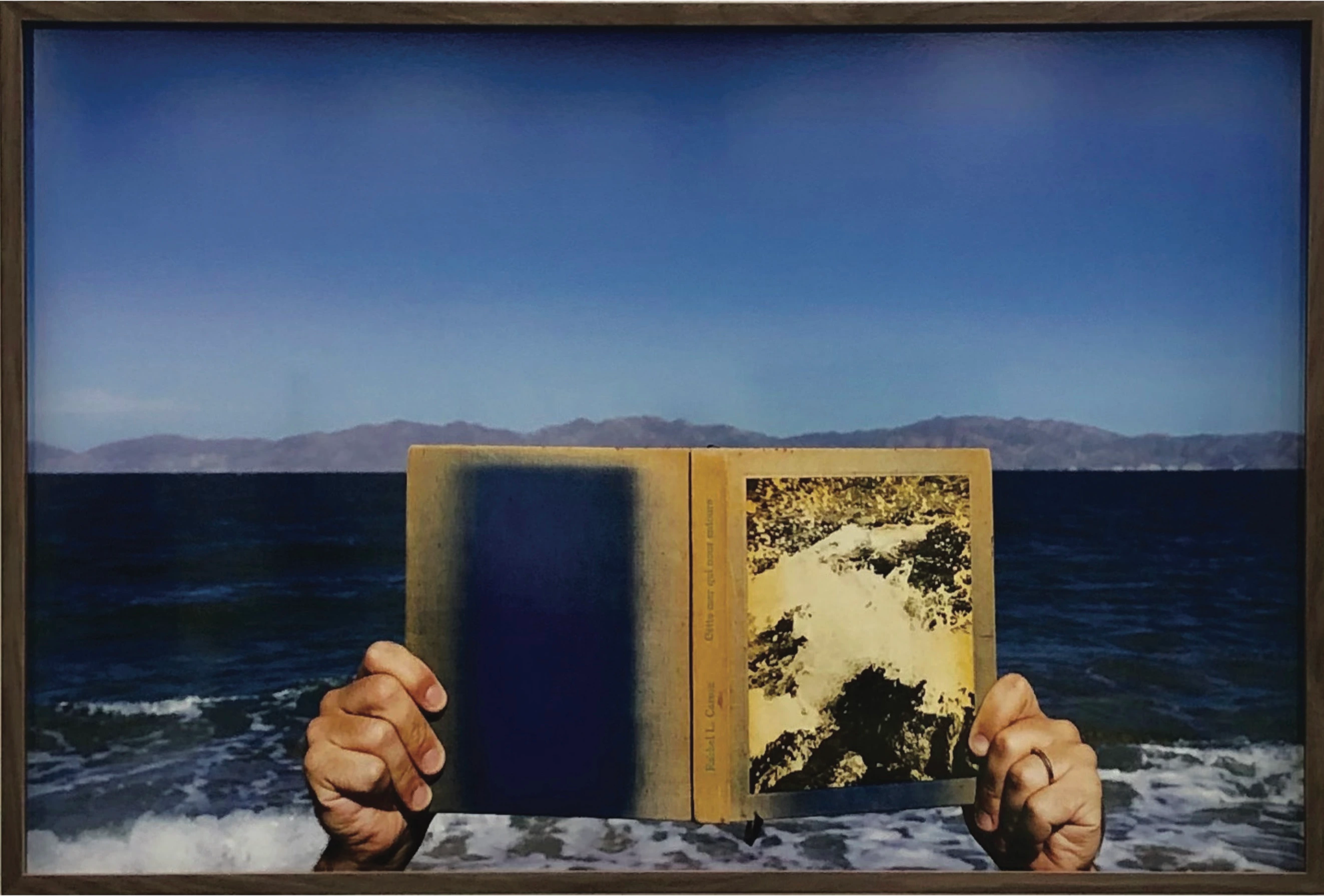 Isla Jacques Cousteau