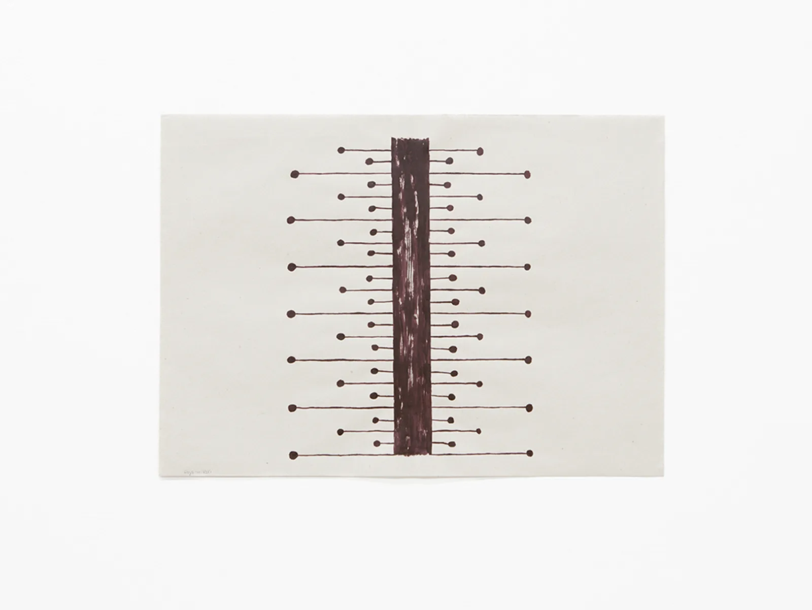 Haya mikaki / Wild trunk mushrooms