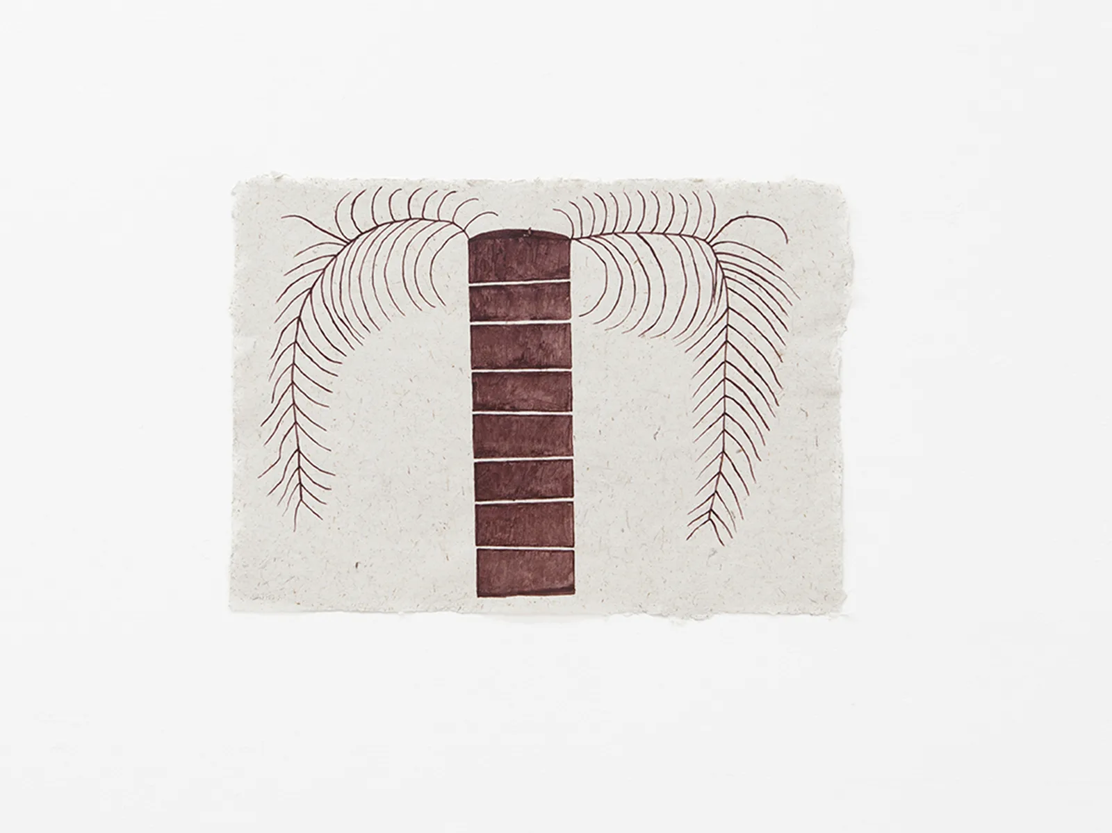 Shitipa si / Palm