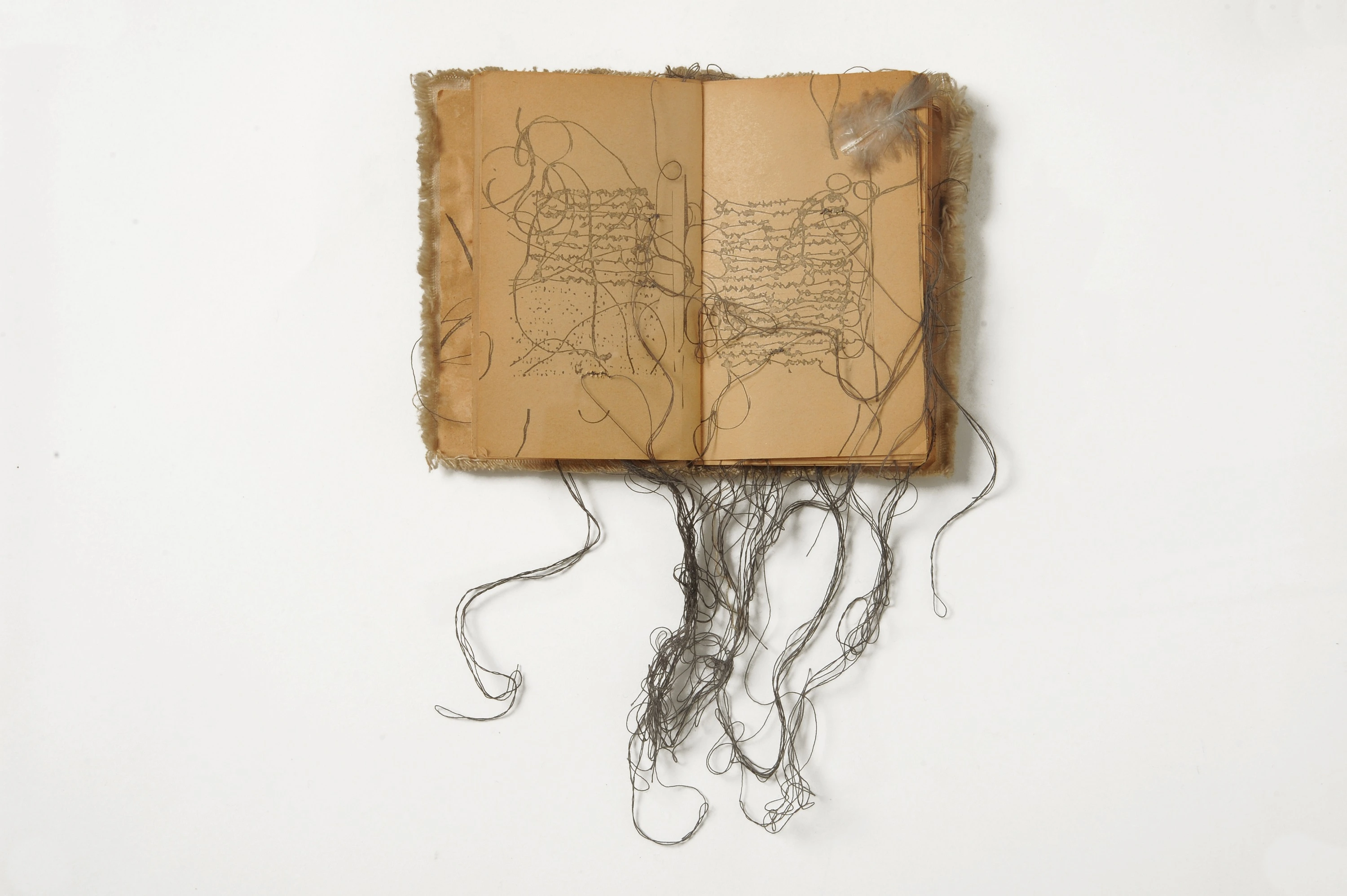 Libro E