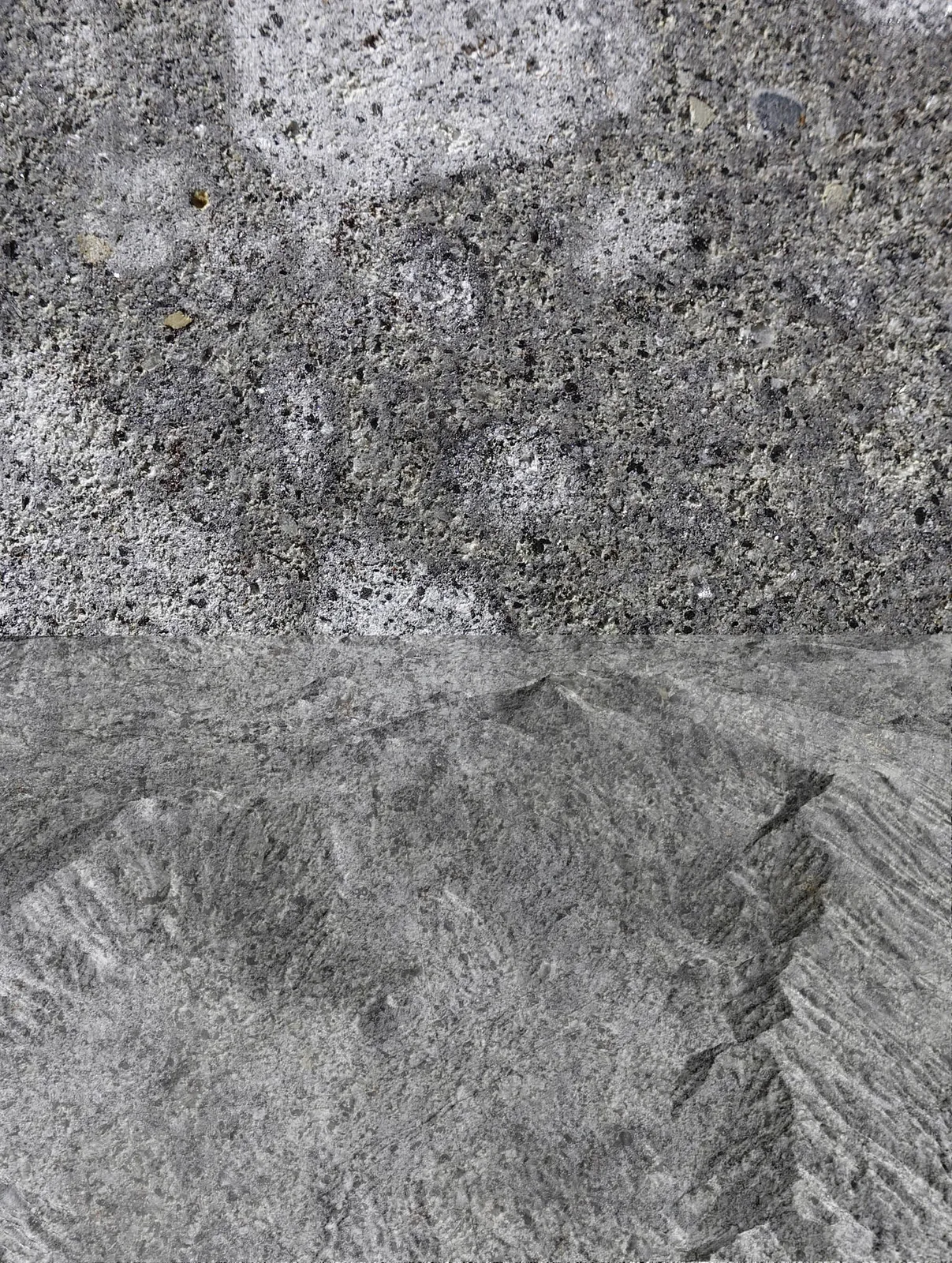 Studio per '300.000 anni in 344 centimetri