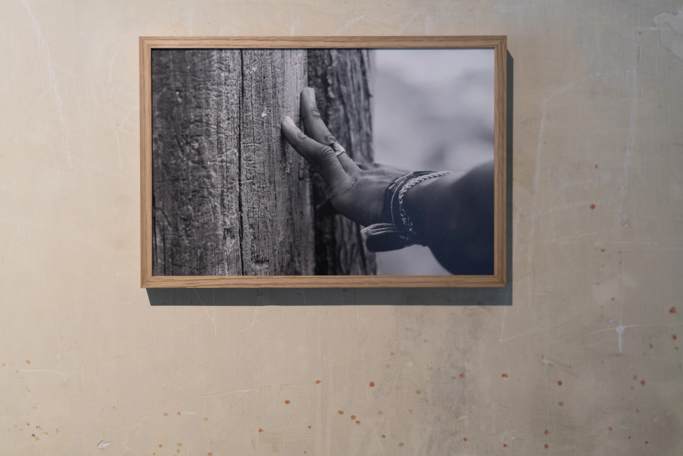 Untitled #1 (Wishing Trees)