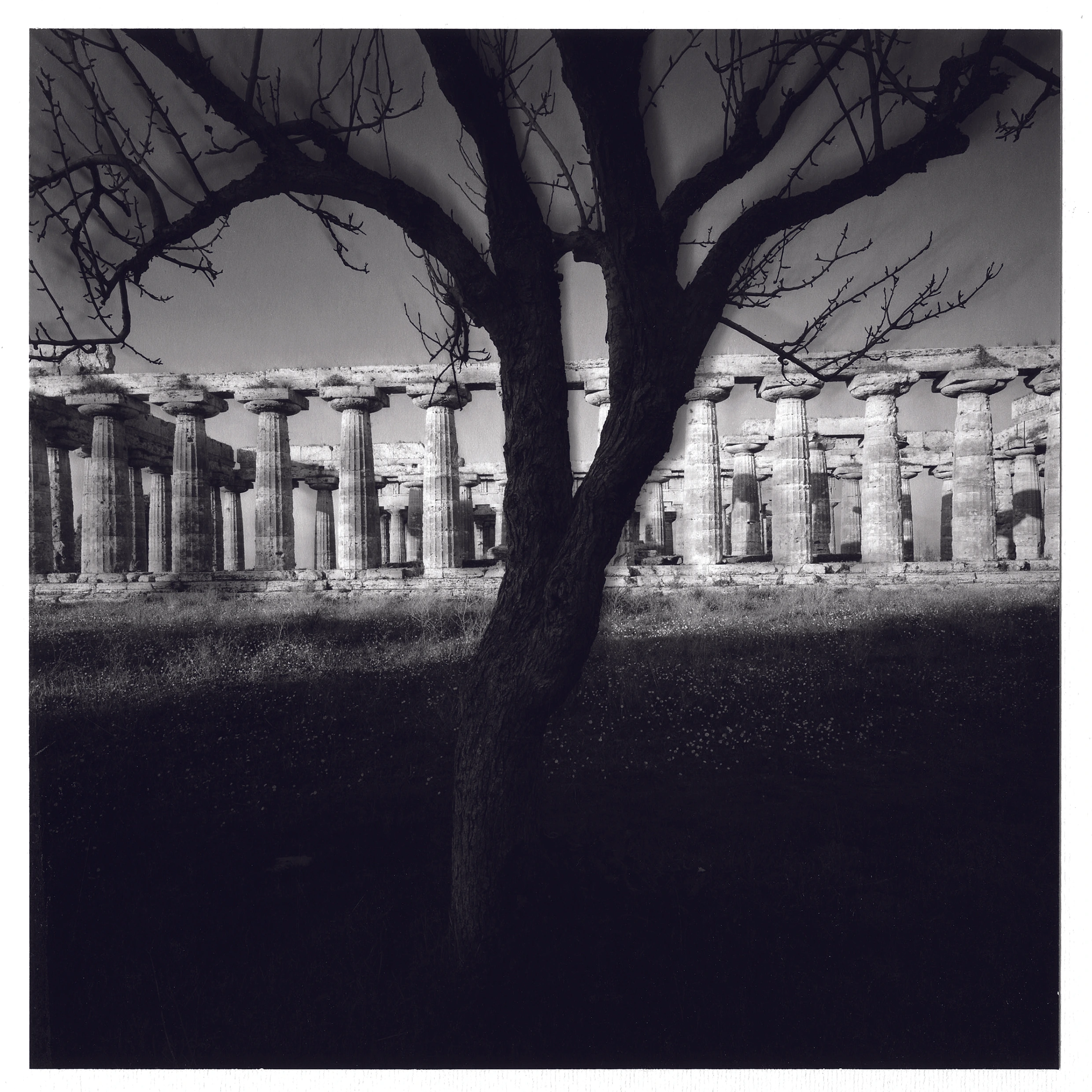 Tempio di Nettuno